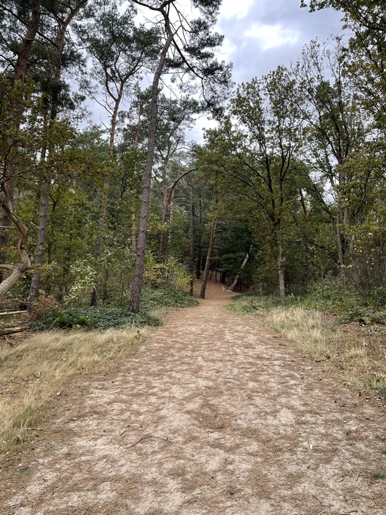 wandelen in bergen op zoom