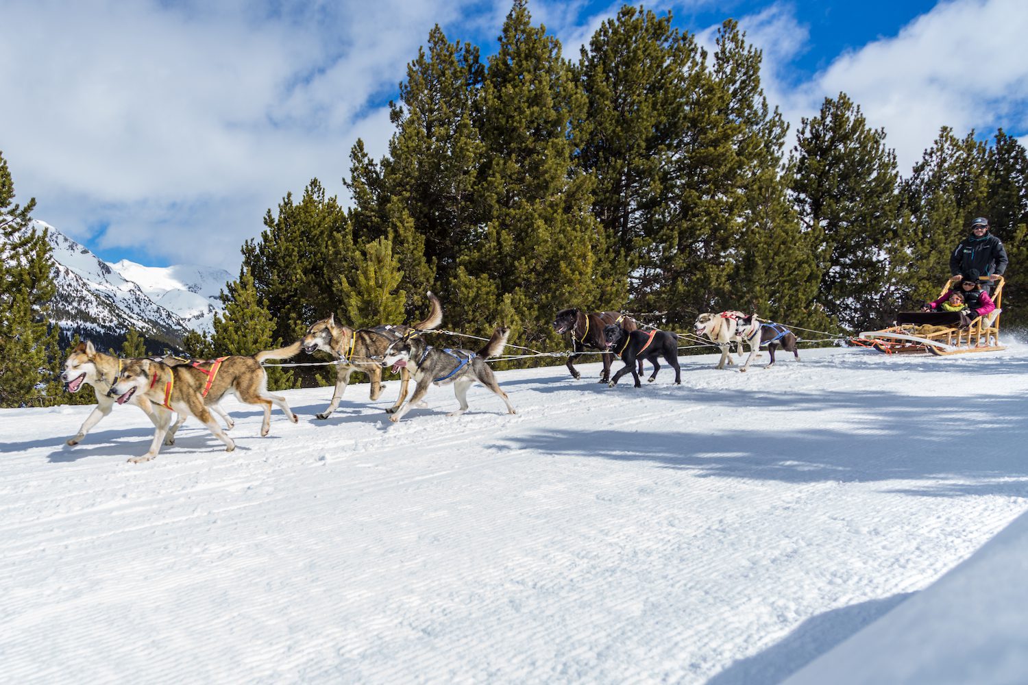 Mushing - Andorra