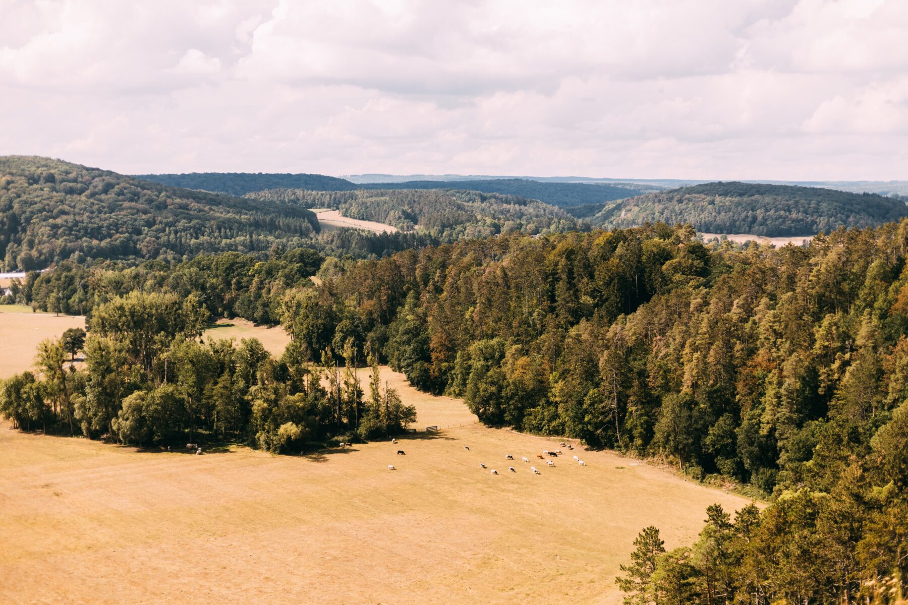 Wandelroute van het Jaar 