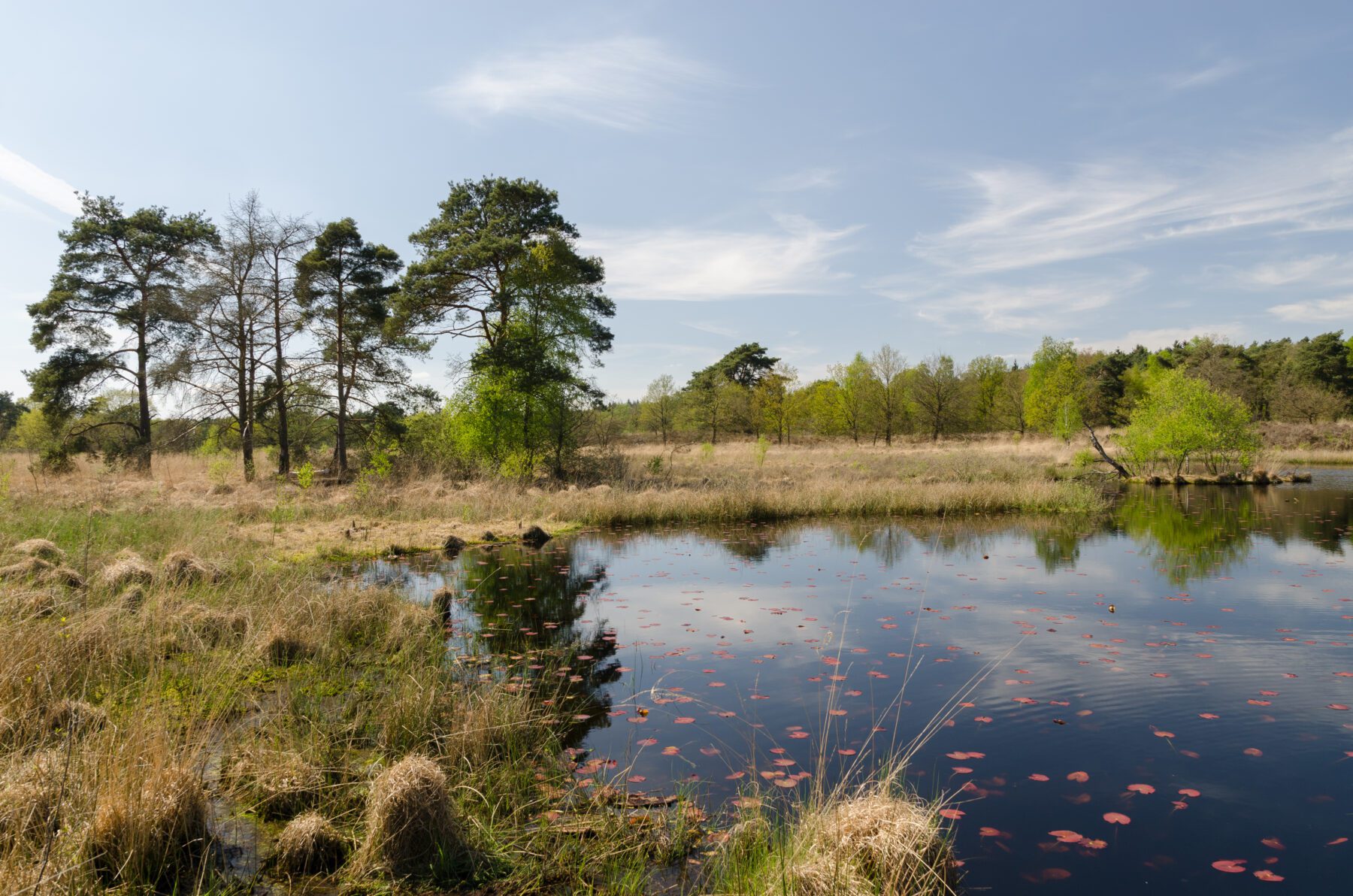  De Meinweg