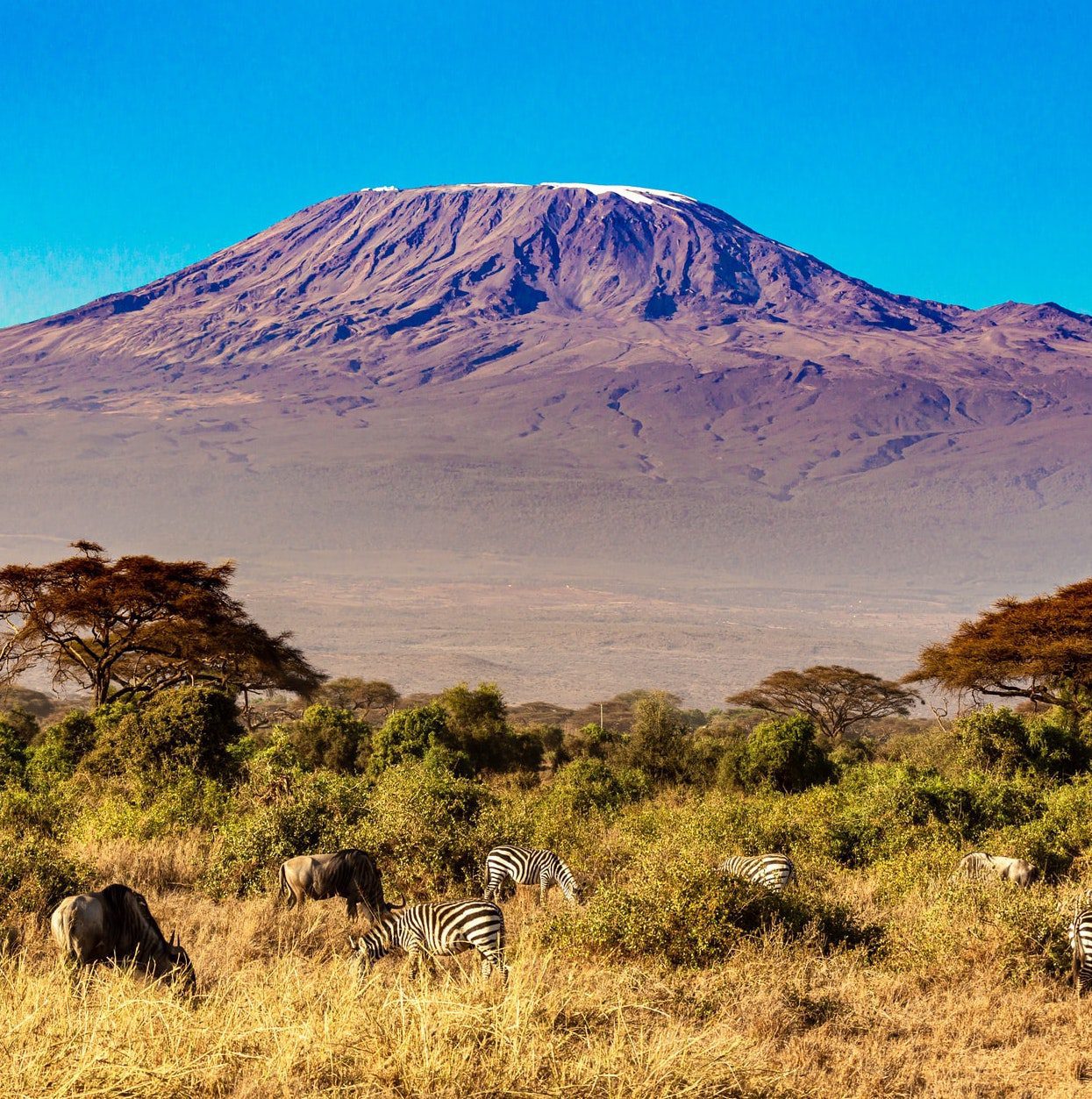 Mount Kilimanjaro Tom van Ruiten