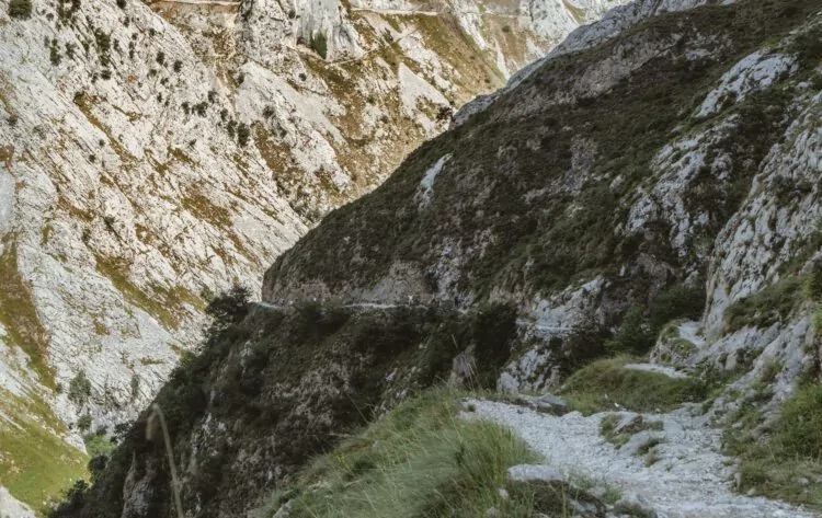 Picos de Europa