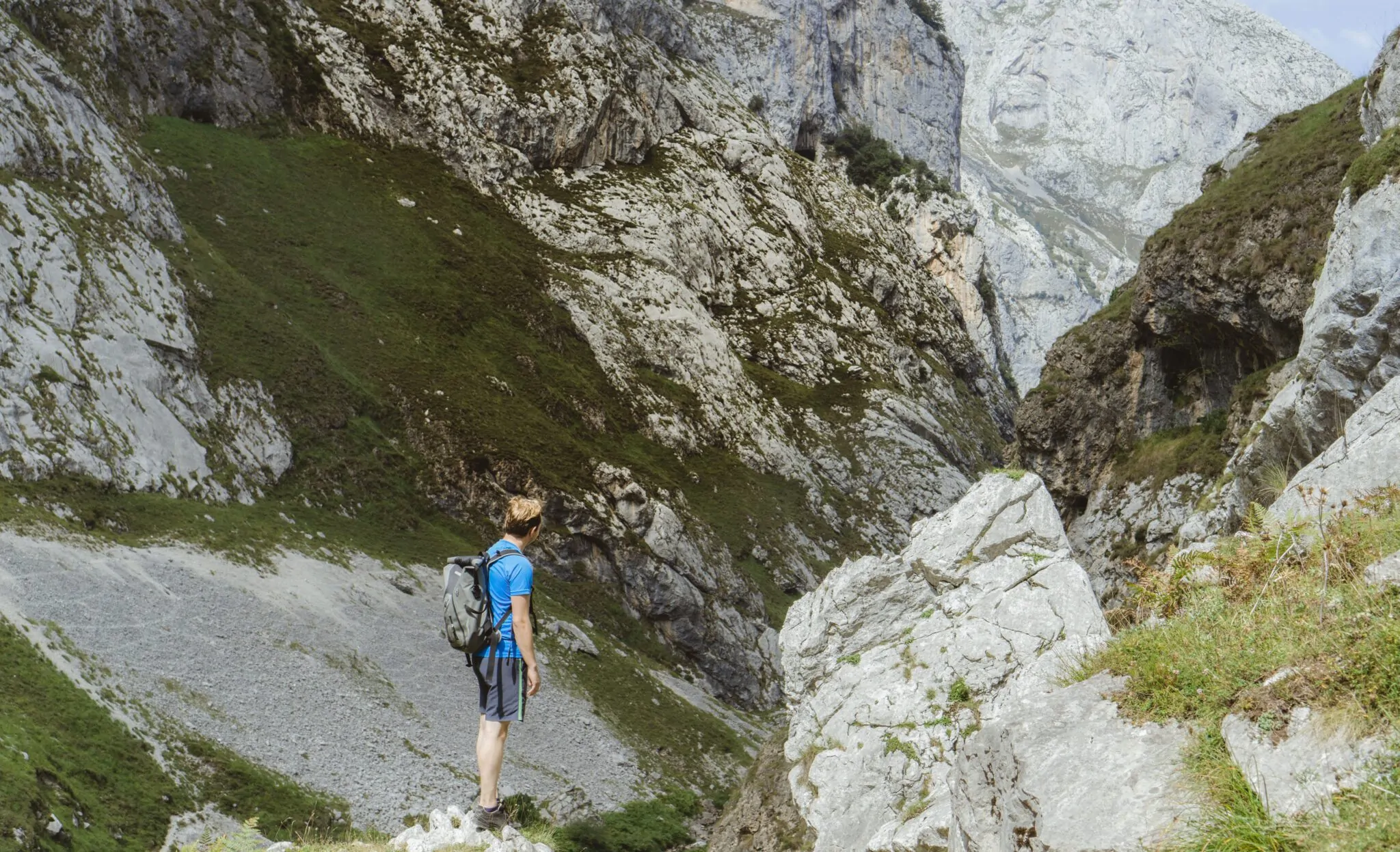 Picos de Europa