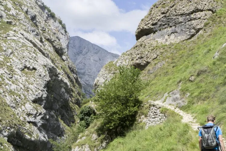 Picos de Europa