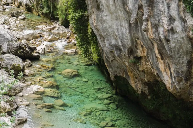 Picos de Europa