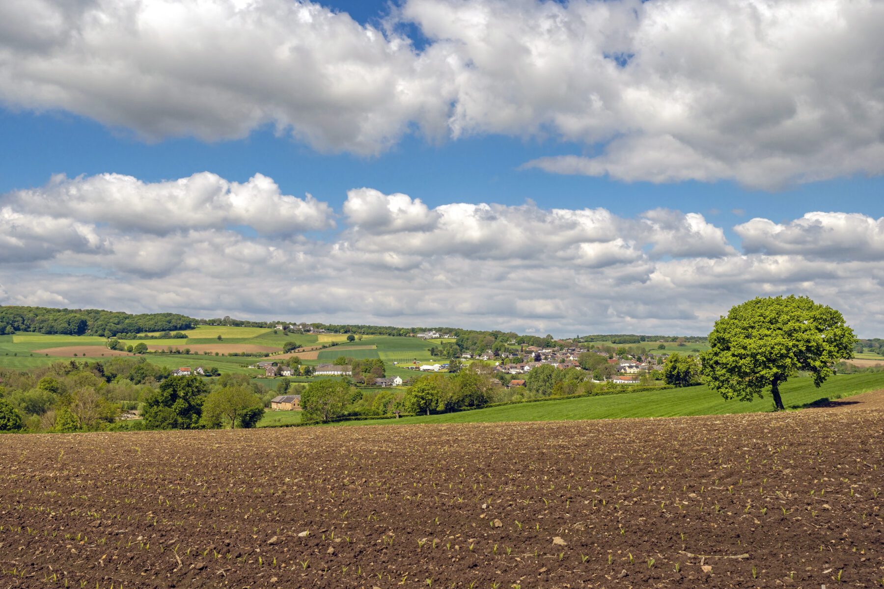 wandelgebieden nederland: Zuid-Limburg