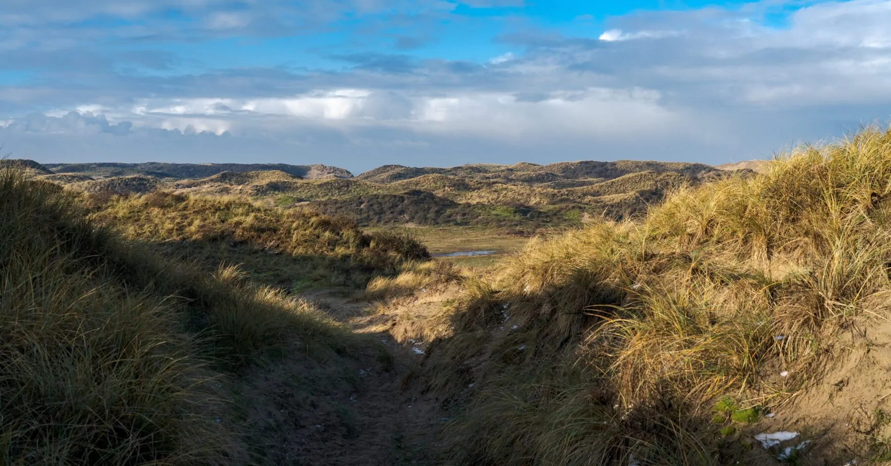 wandelen in de buurt van Amsterdam in de Kennemer Duinen