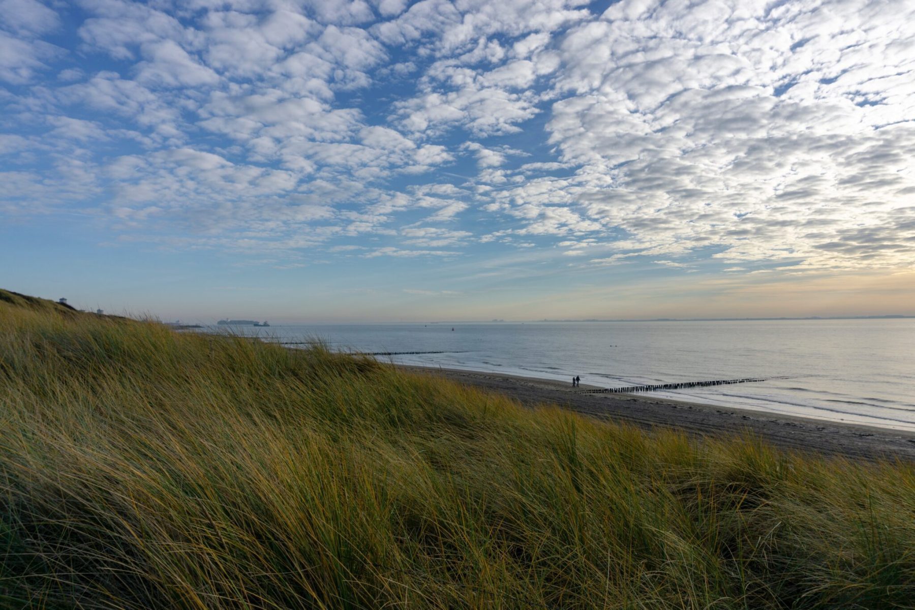 Dive into the deep hoe diep is de Noordzee eigenlijk? The Hike