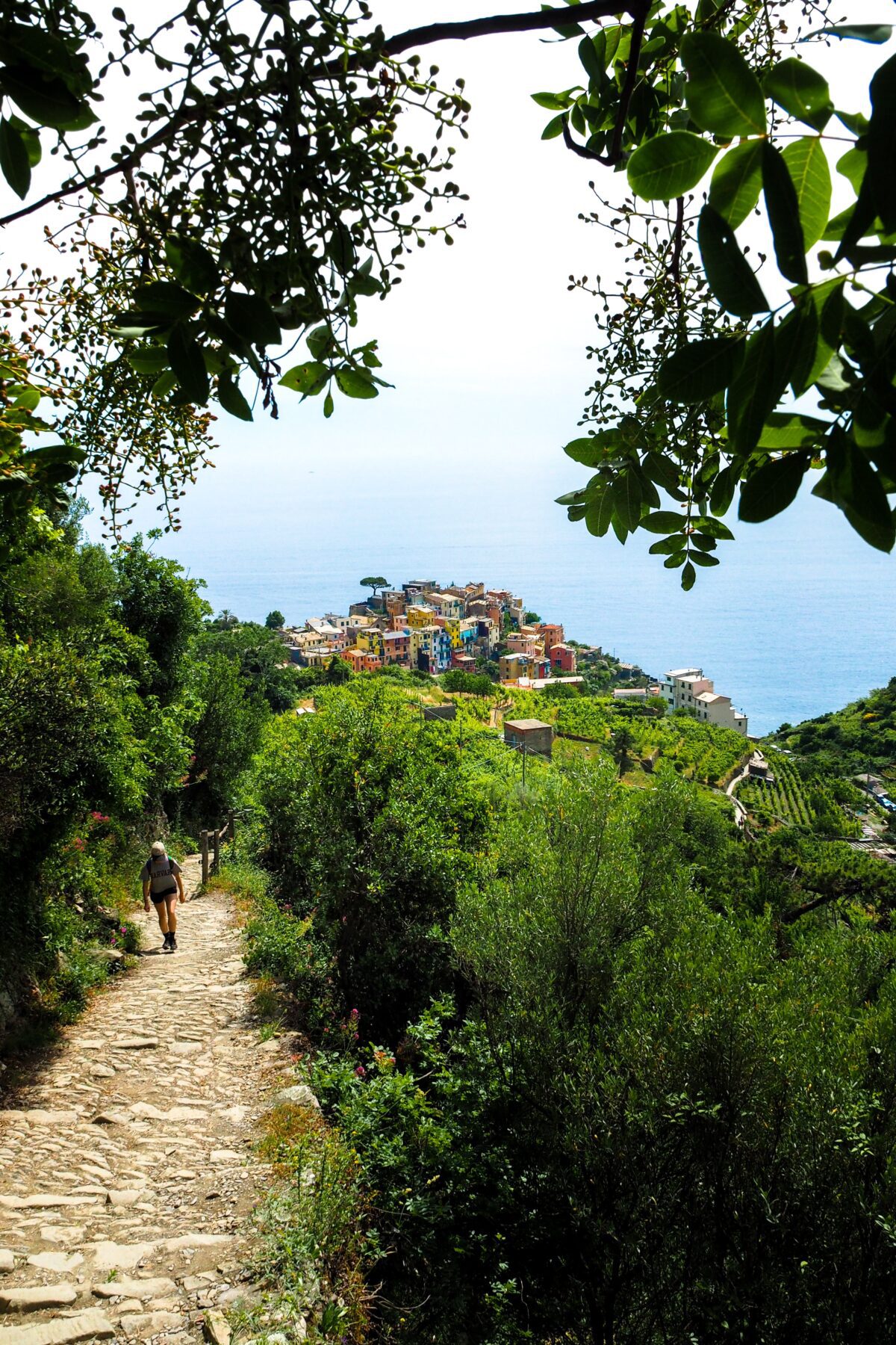 Cinque Terre