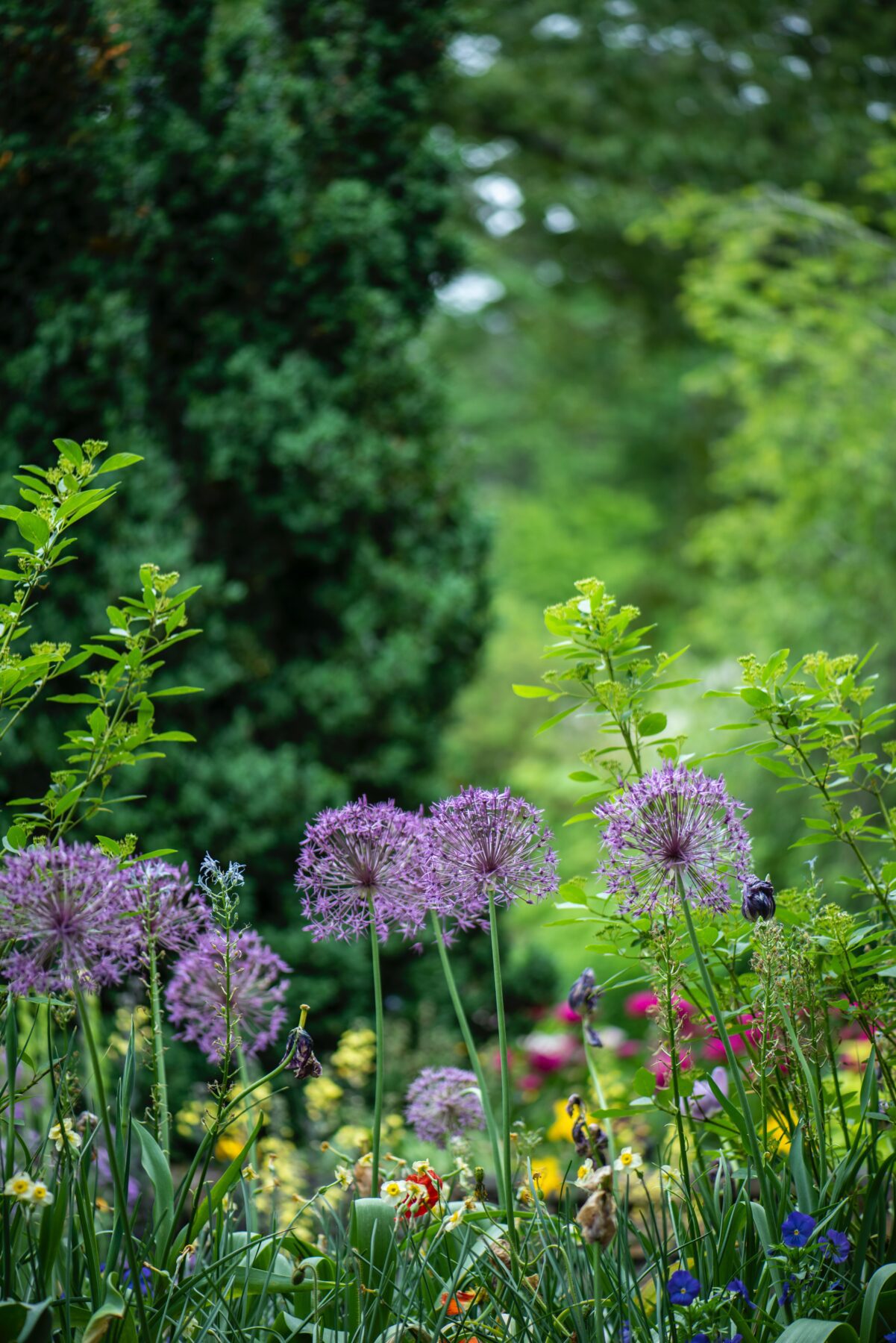 ecologische tuin