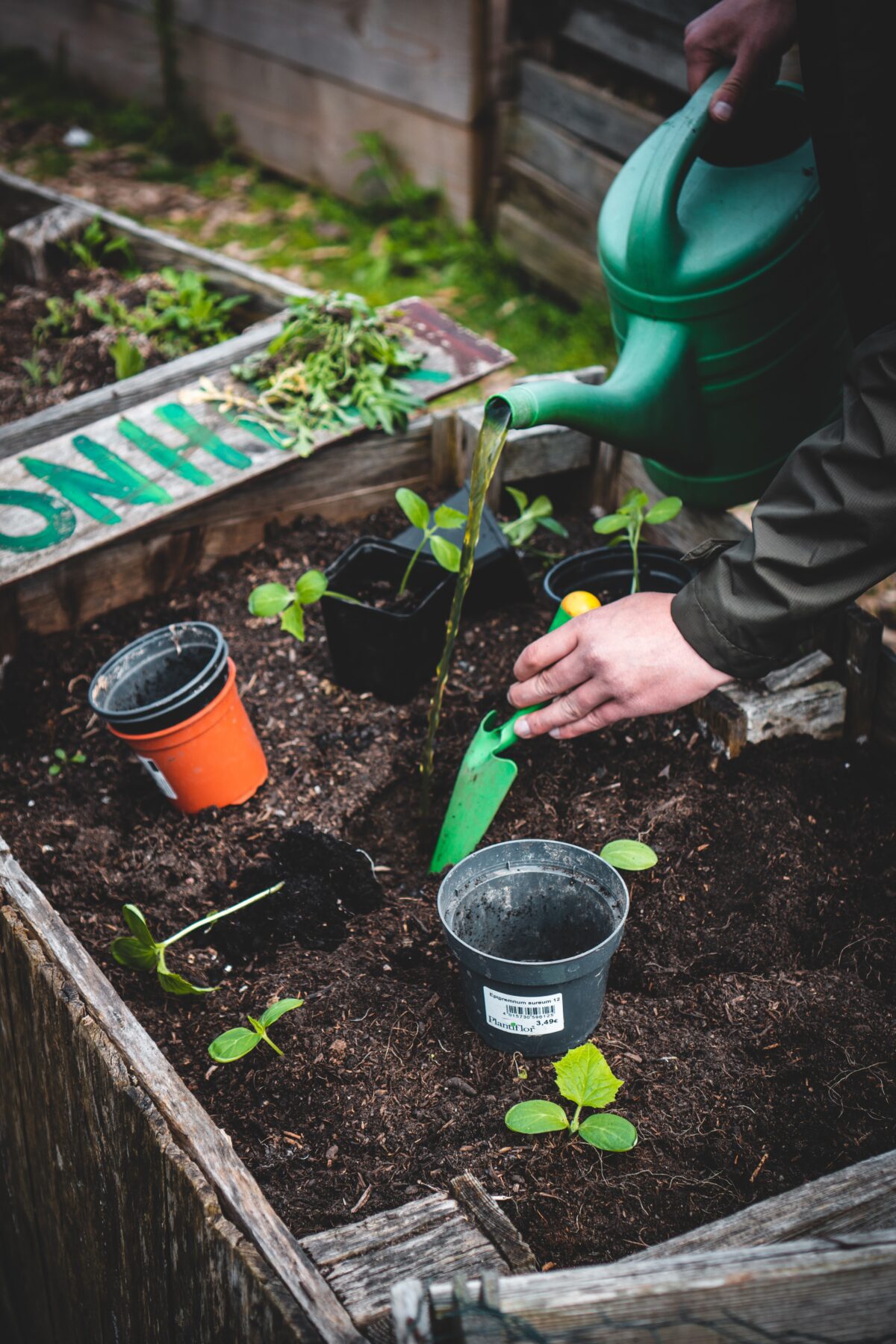 ecologische tuin