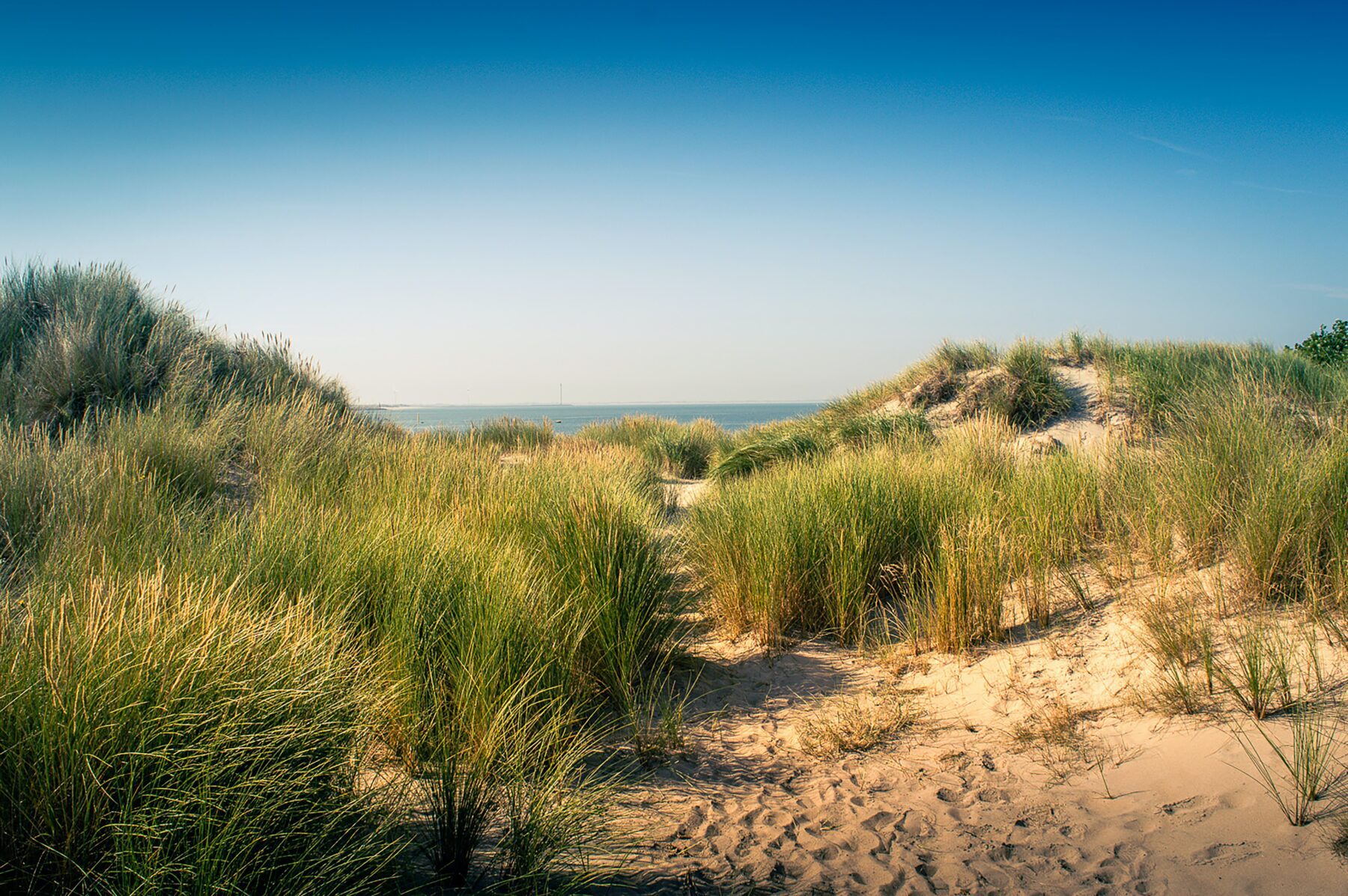 stranden