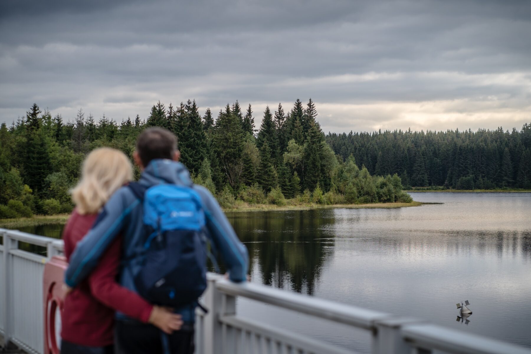 top trails 5 Kammweg Erzgebirge-Vogtland uitzicht