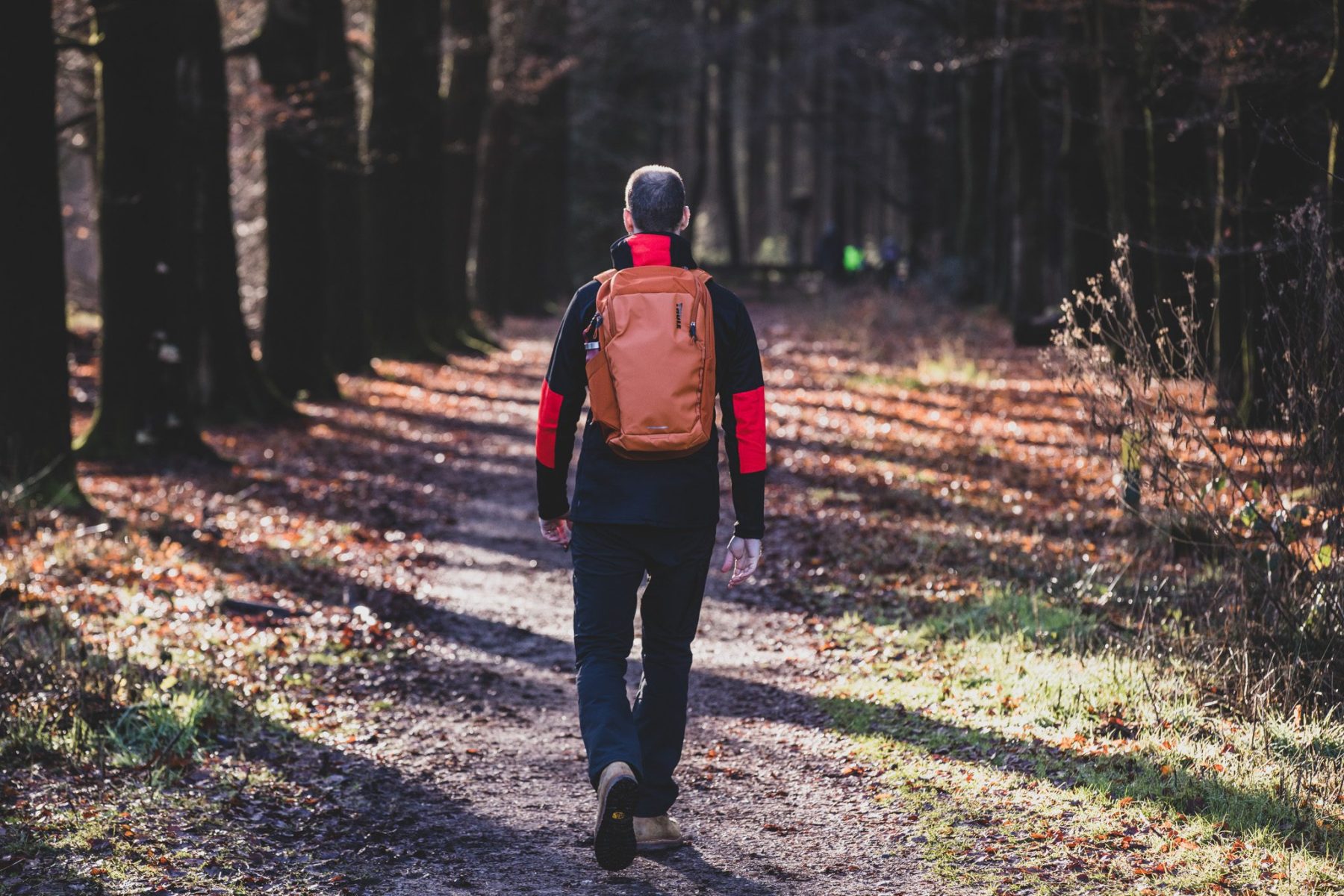 Roots natuurpad: het langste natuurpad van Nederland - The Hike