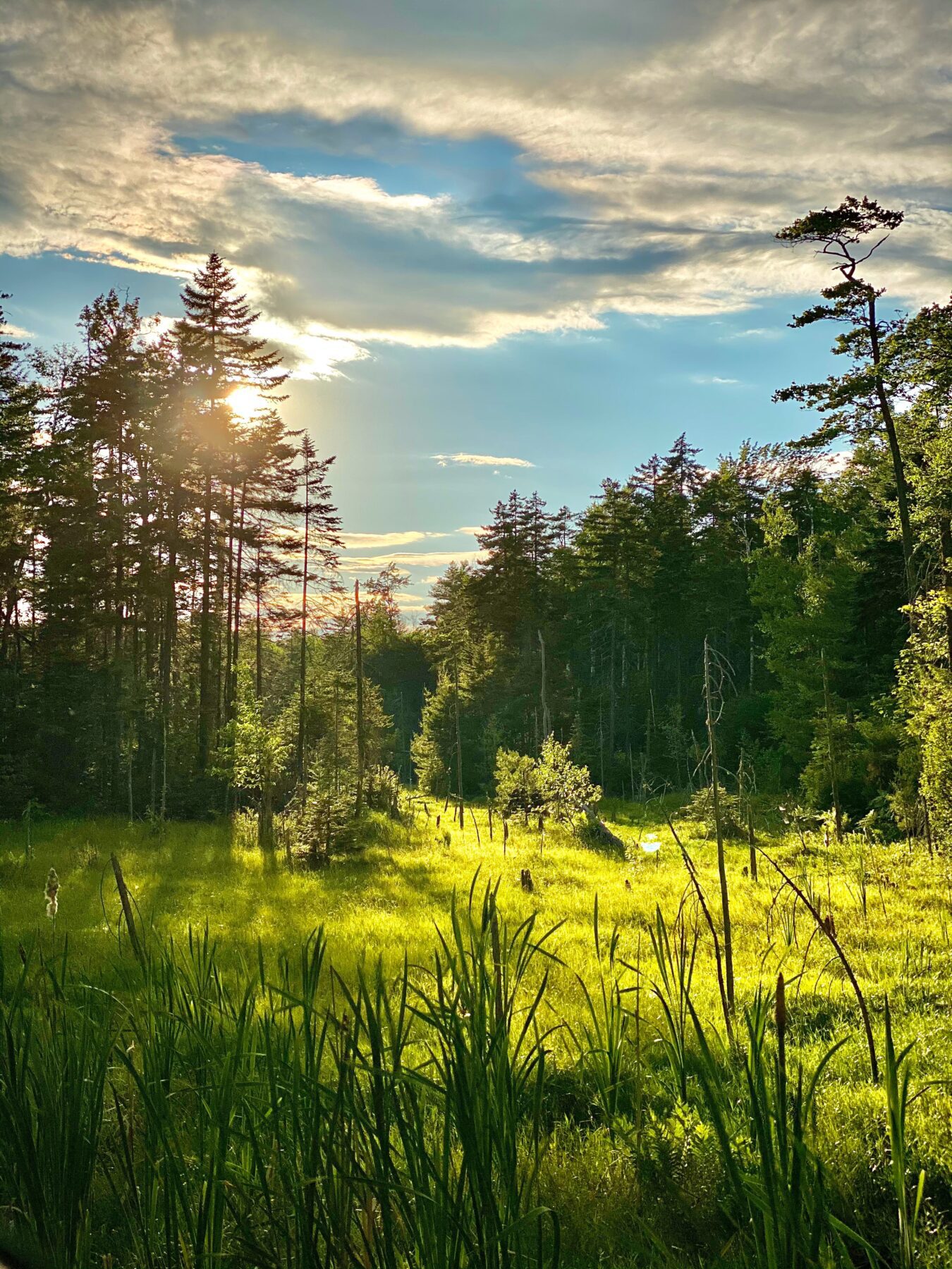 Adirondack Park 2