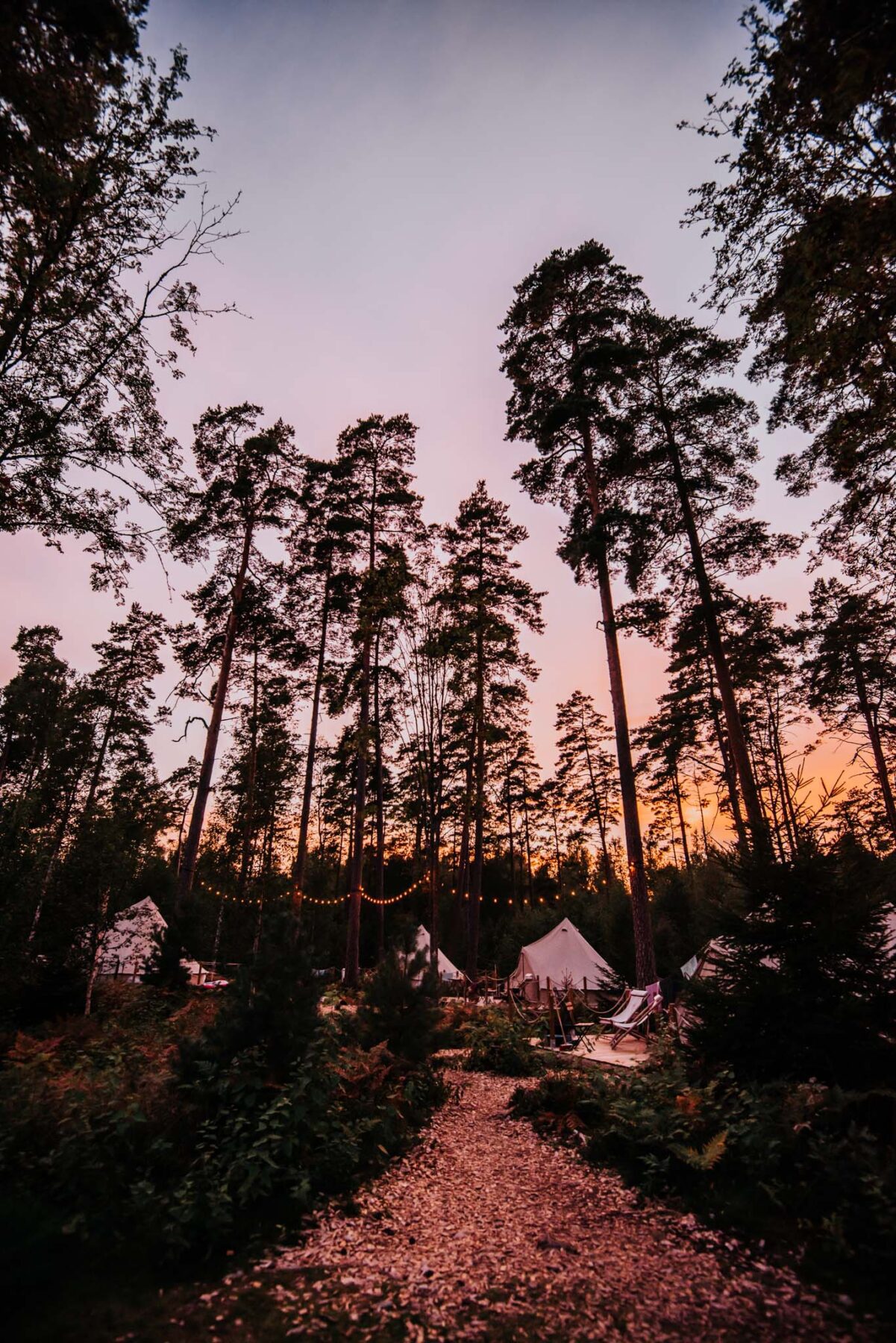 Nordic Woods Camping Zweden