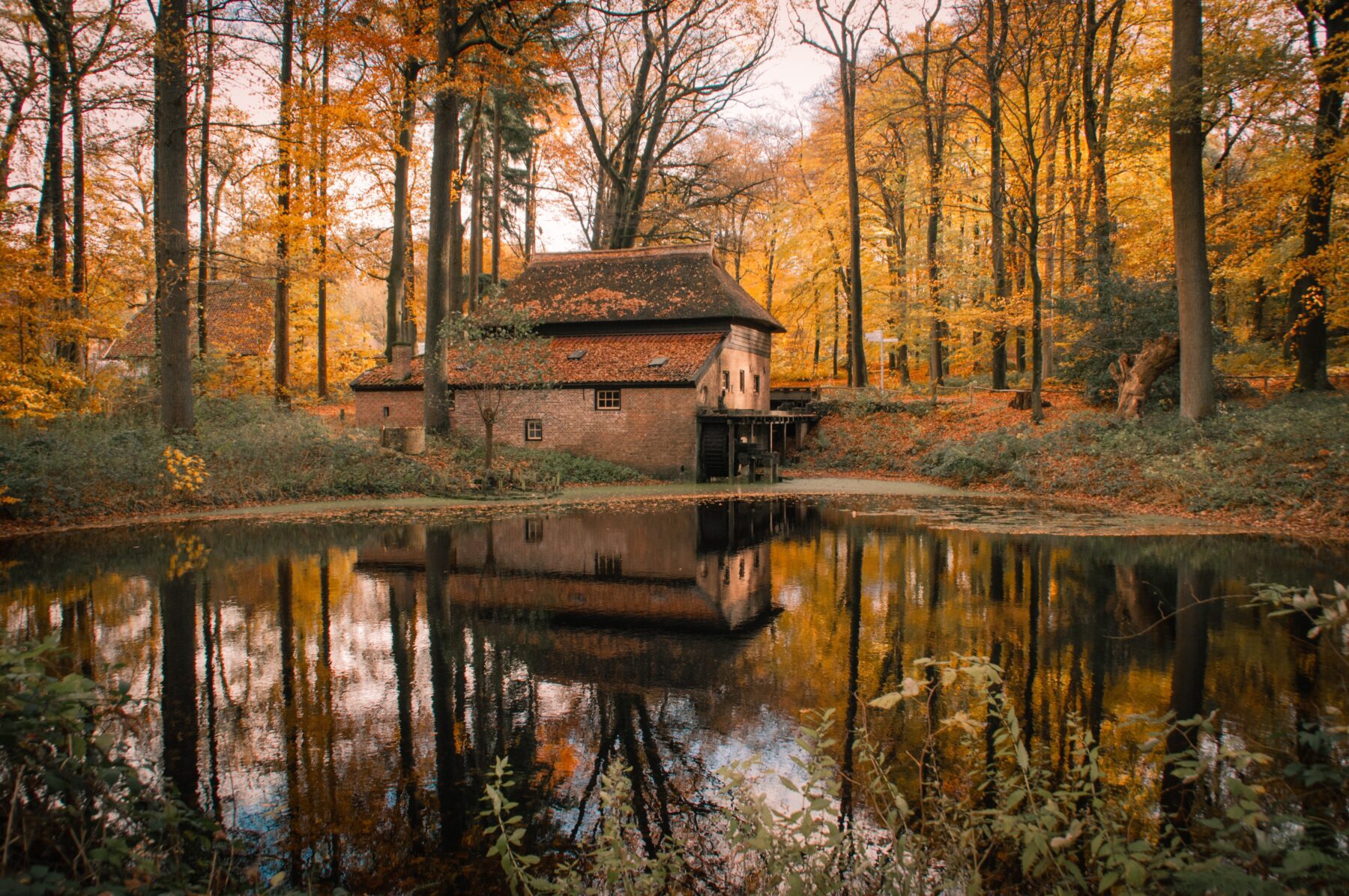 Nederlands openluchtmuseum