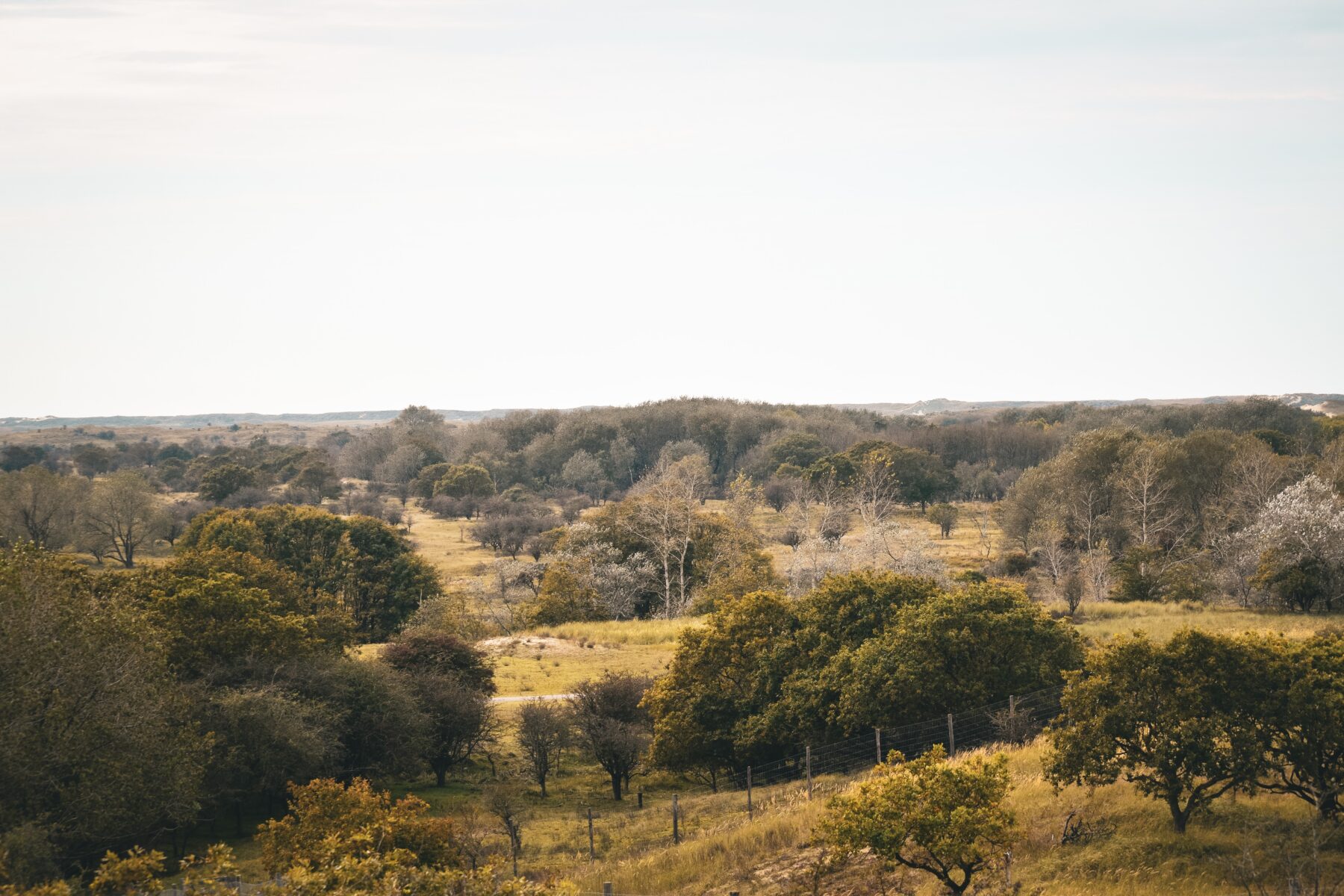 Overzicht Amsterdamse Waterleidingduinen