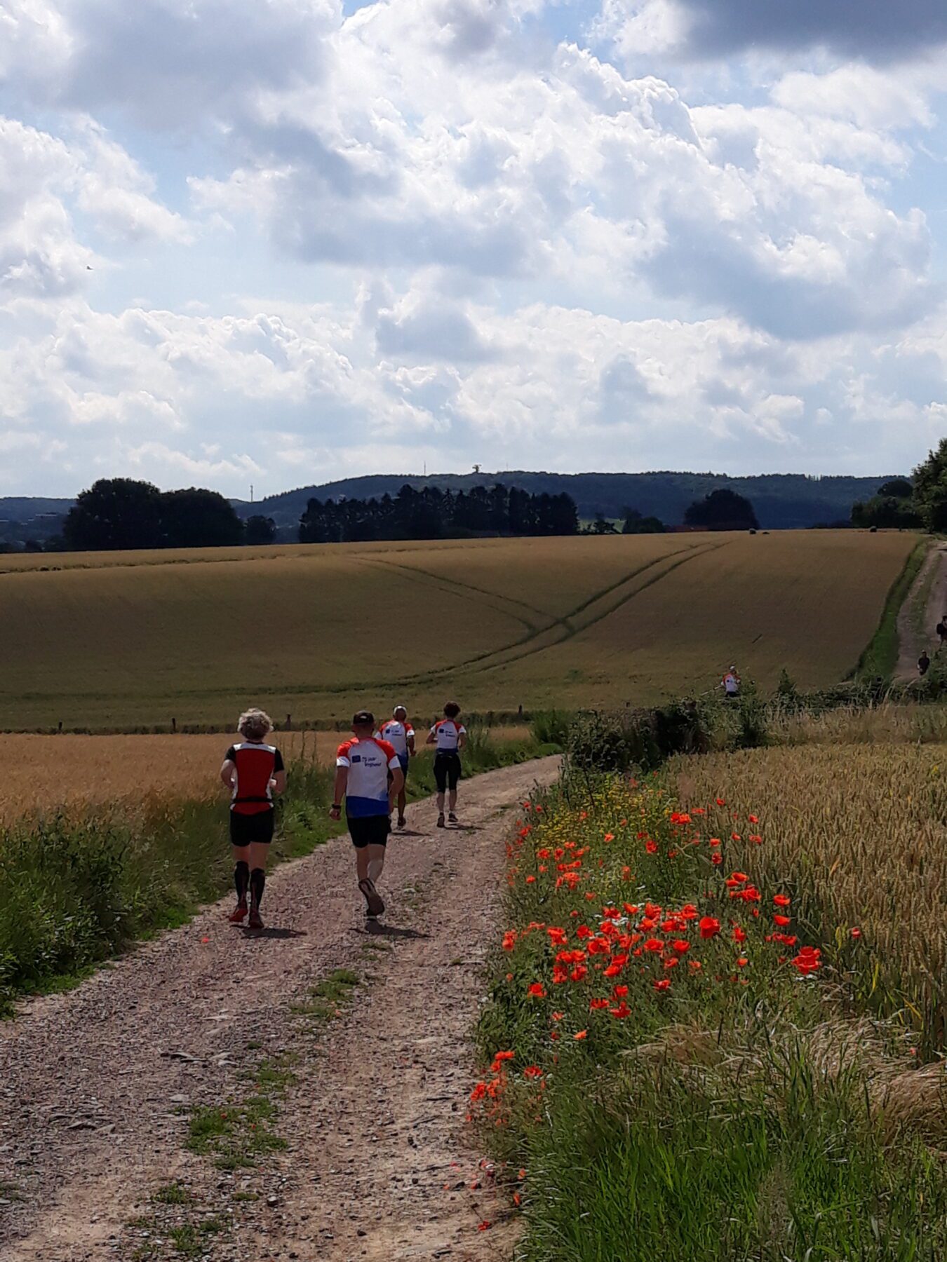 Trailrun, marathon, heuvelland