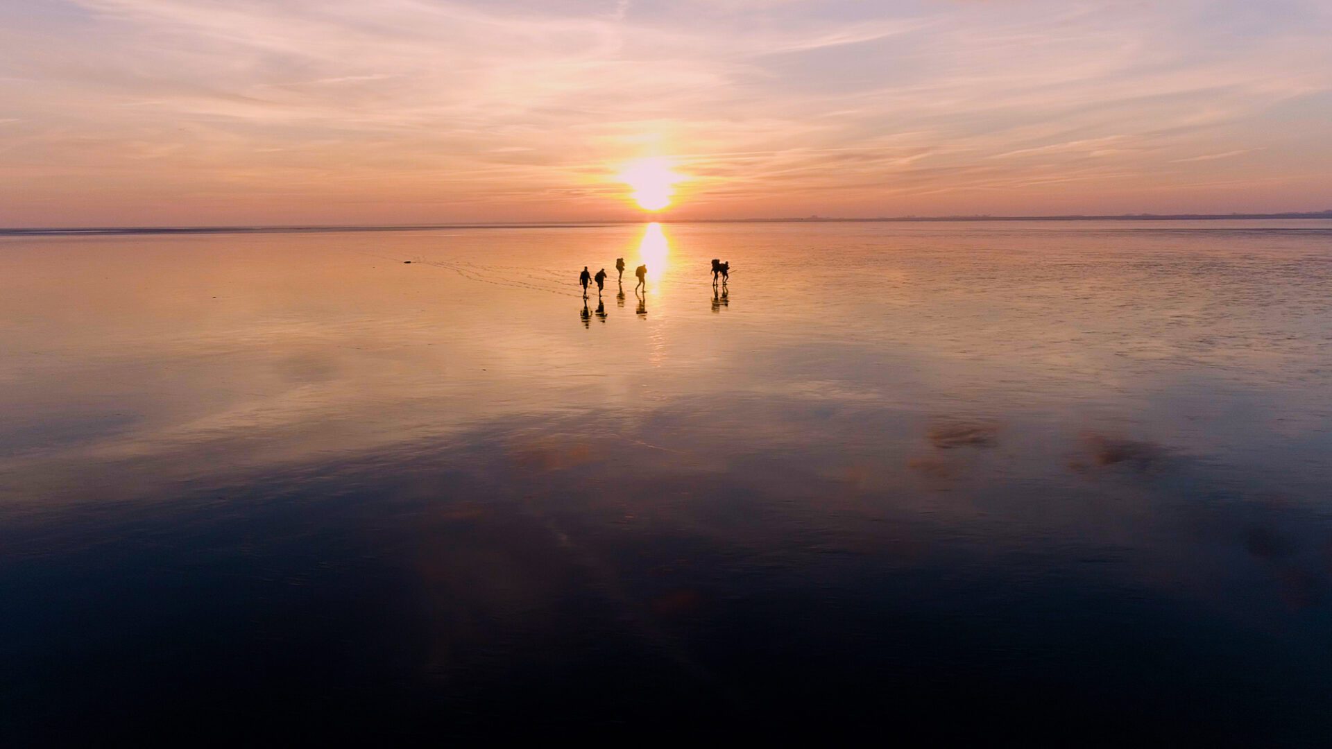 Dwars door de Lage Landen: 900 kilometer genieten - The Hike