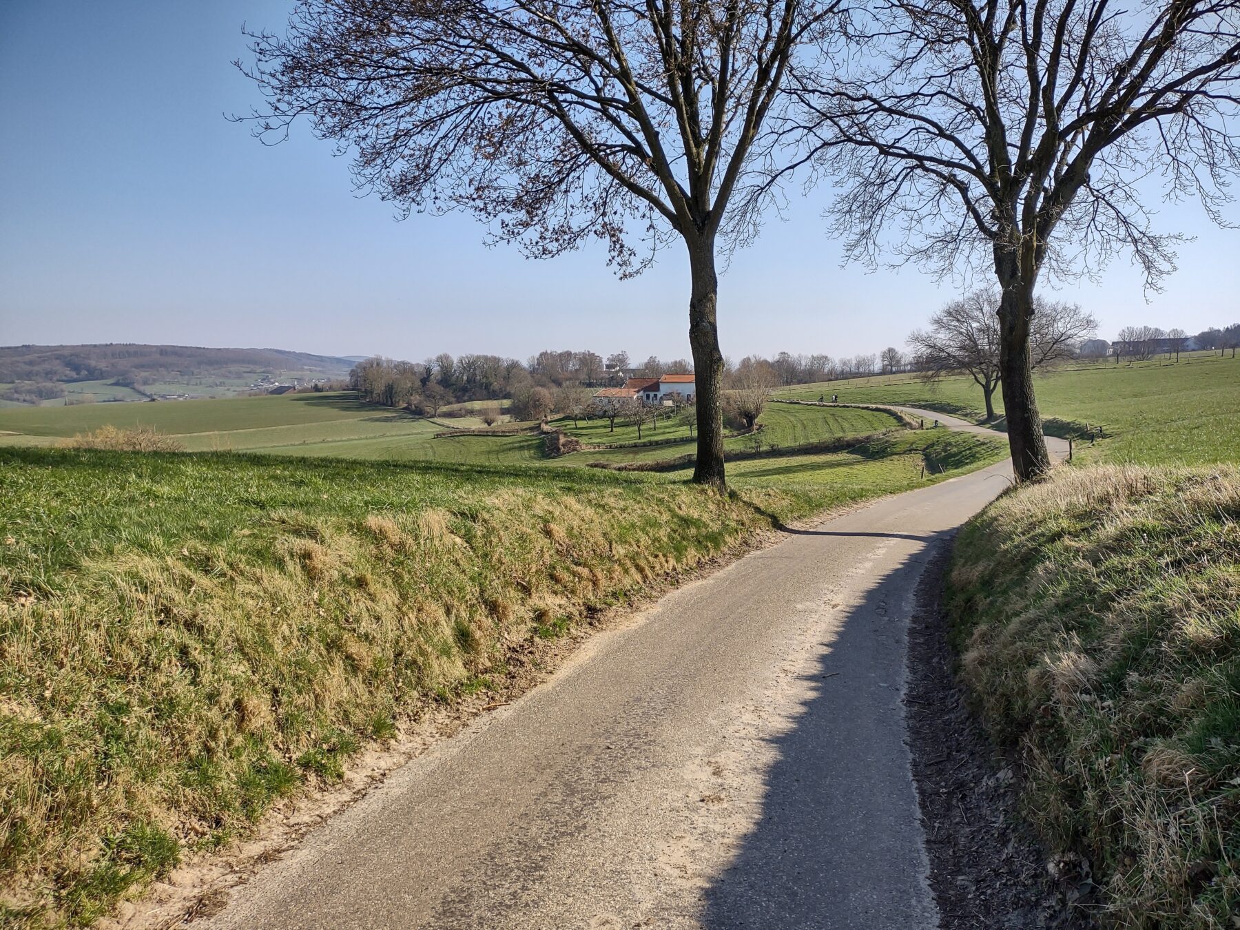 Trailrun, marathon, heuvelland