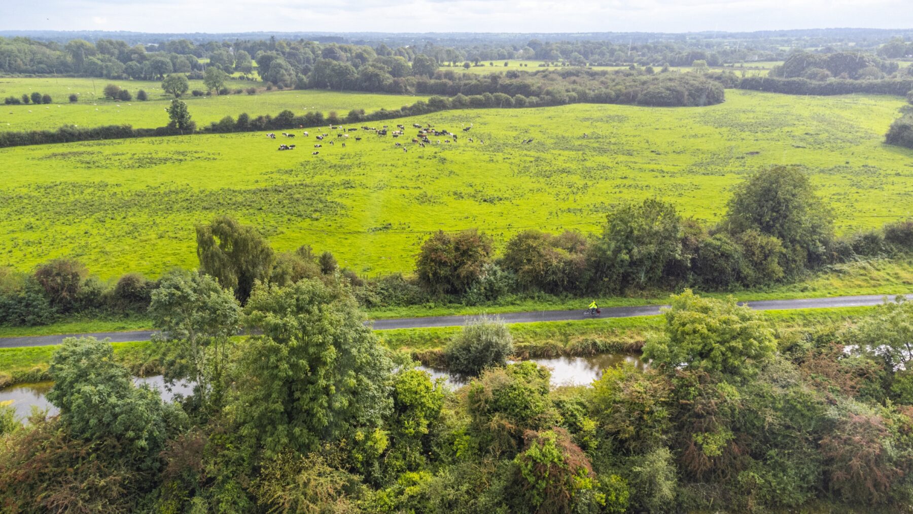 Royal Canal Greenway fietsen in Ierland