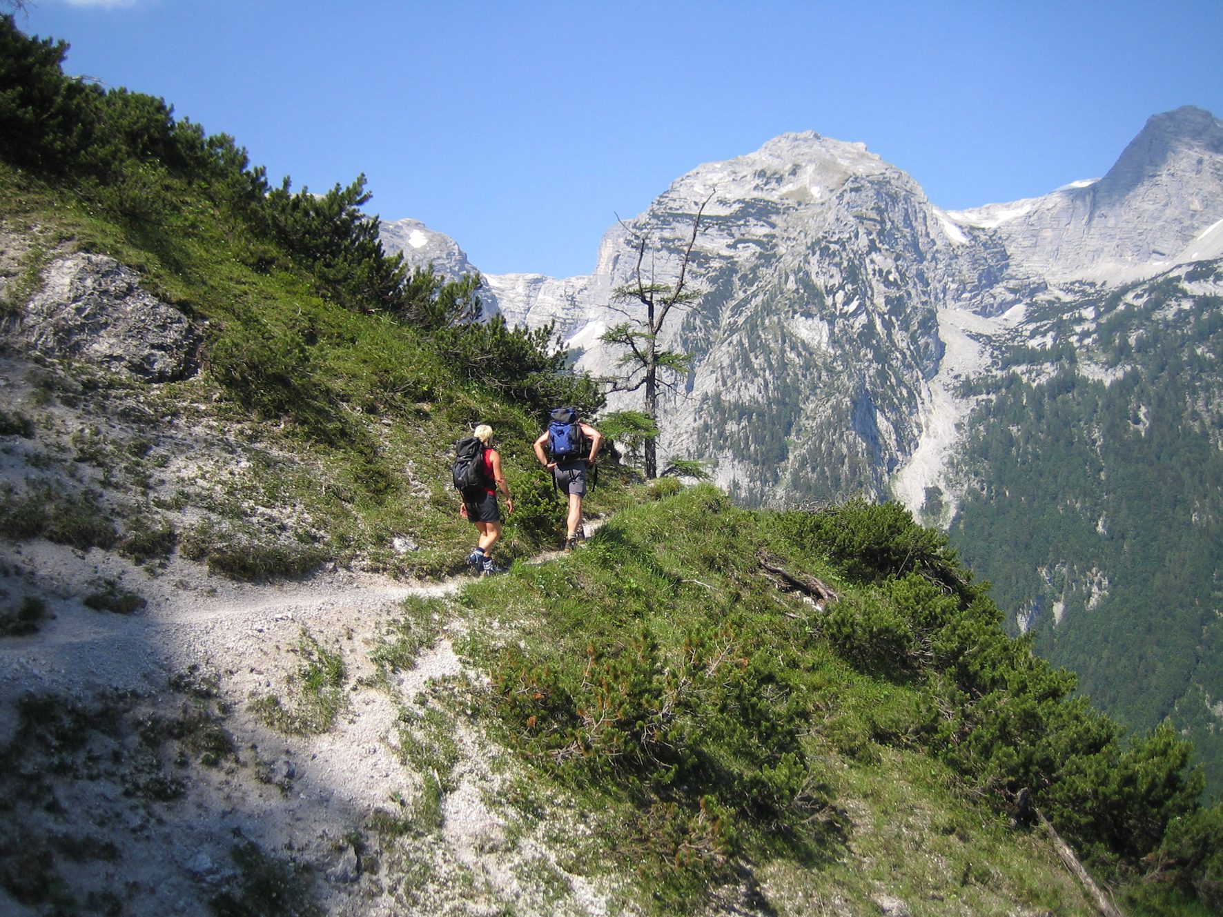 Dolomitensteig