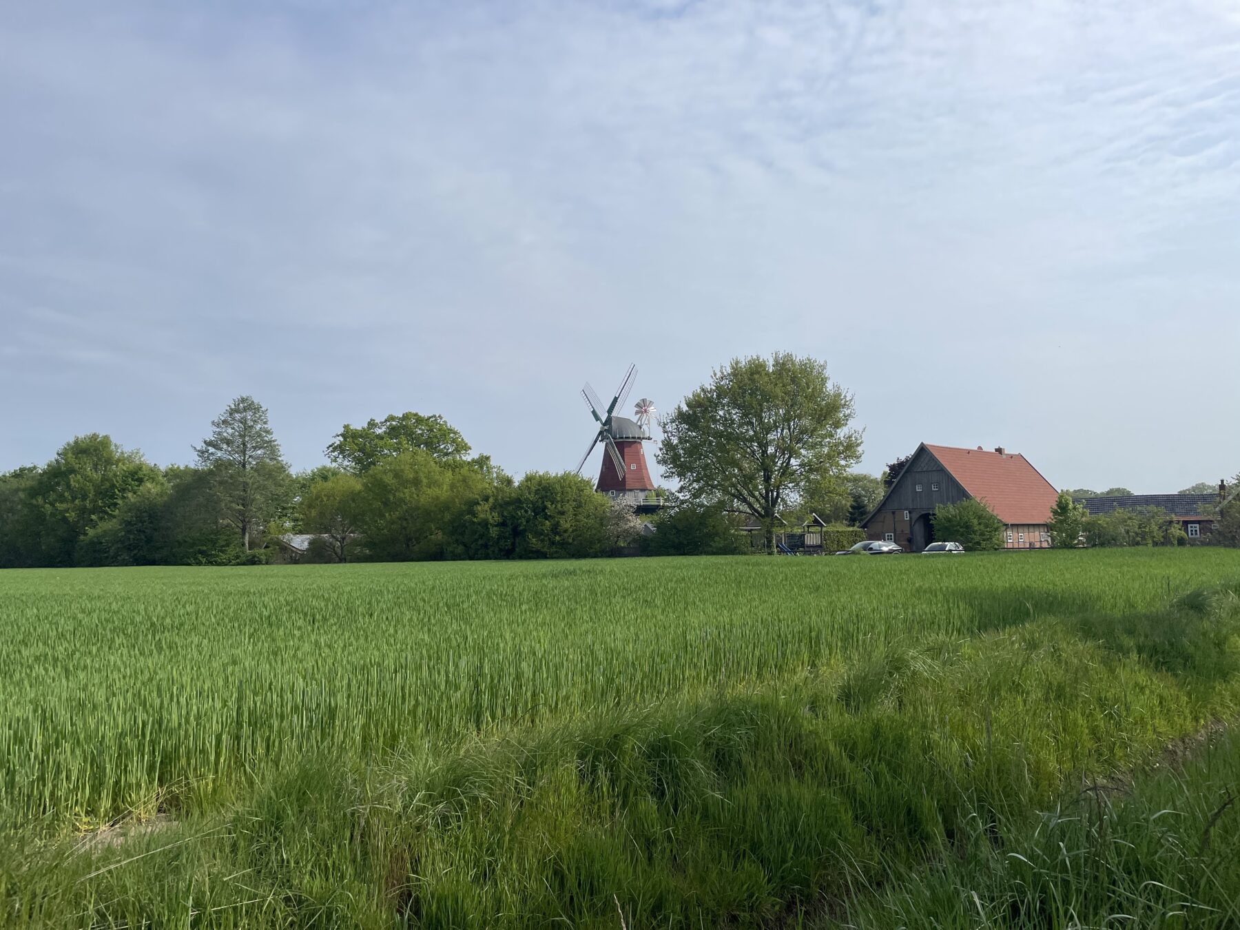 Fietsen door het Osnabrücker Land molen