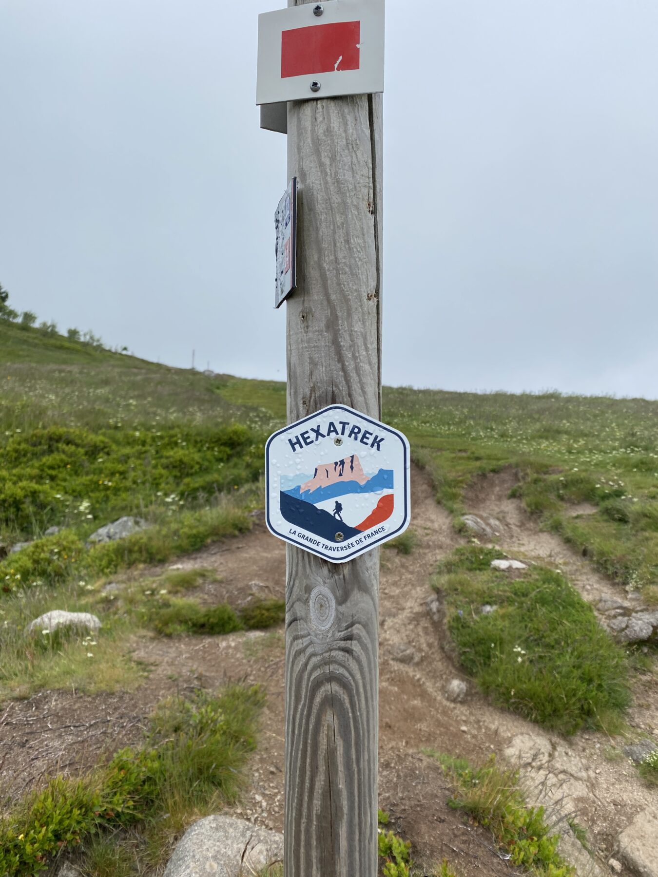 Snp natuurreizen_vogezen gr 5_Ik Wil Hiken_The Hike_01