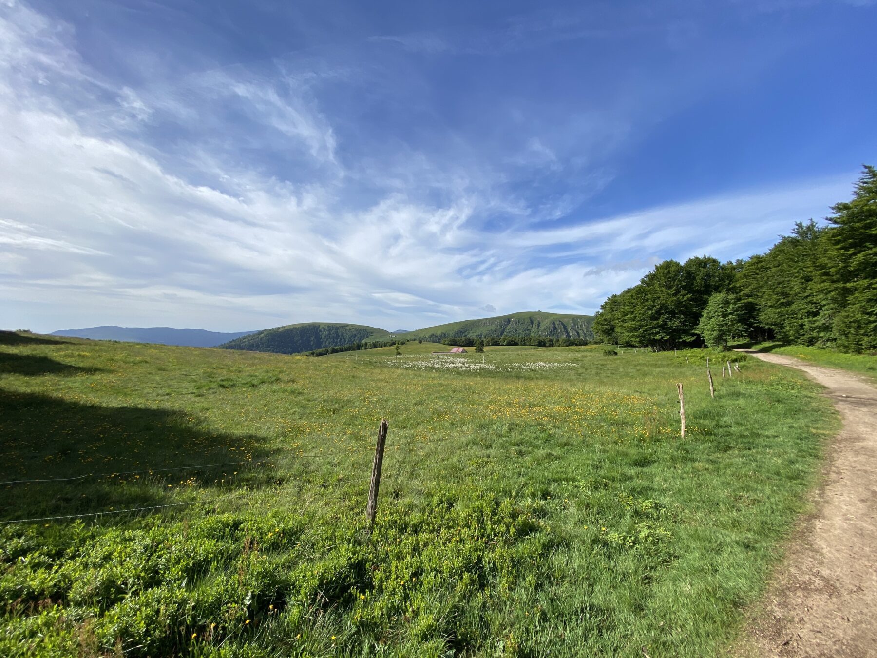 Snp natuurreizen_vogezen gr 5_Ik Wil Hiken_The Hike_09