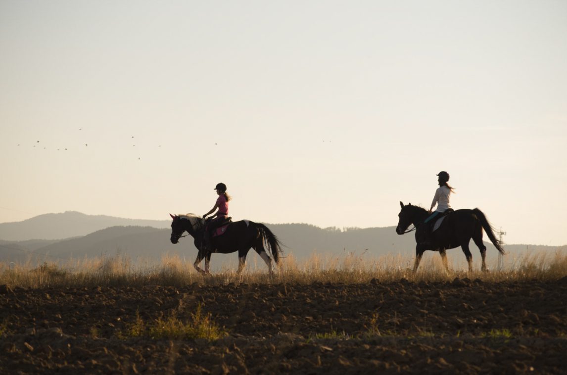 Paardrijden in Klein Polen