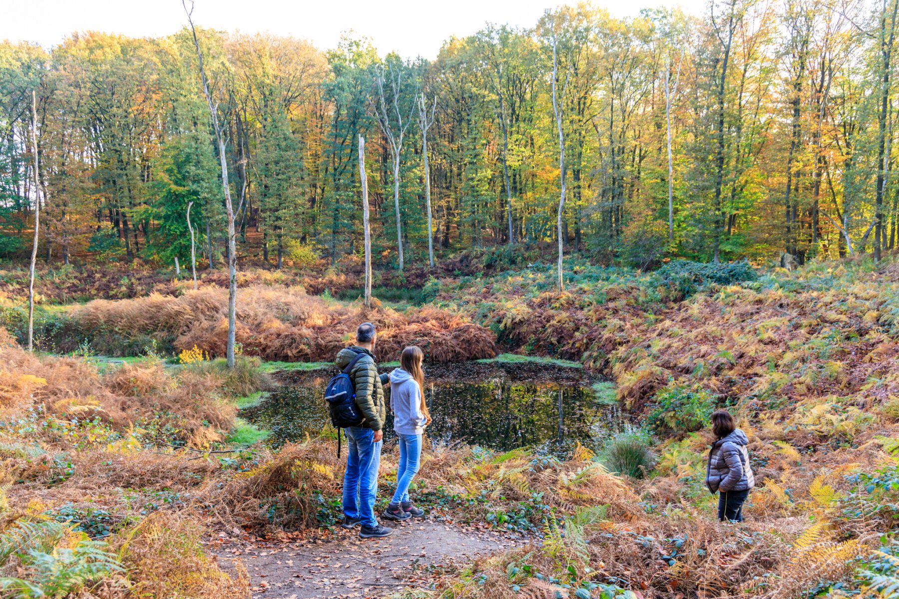 Netherlands, Gelderland, Berg en Dal, Duivelsberg