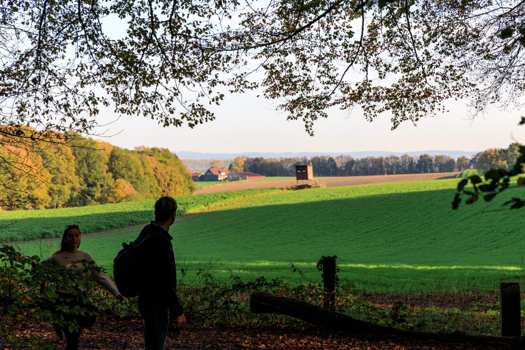 Netherlands, Gelderland, Berg en Dal, Duivelsberg