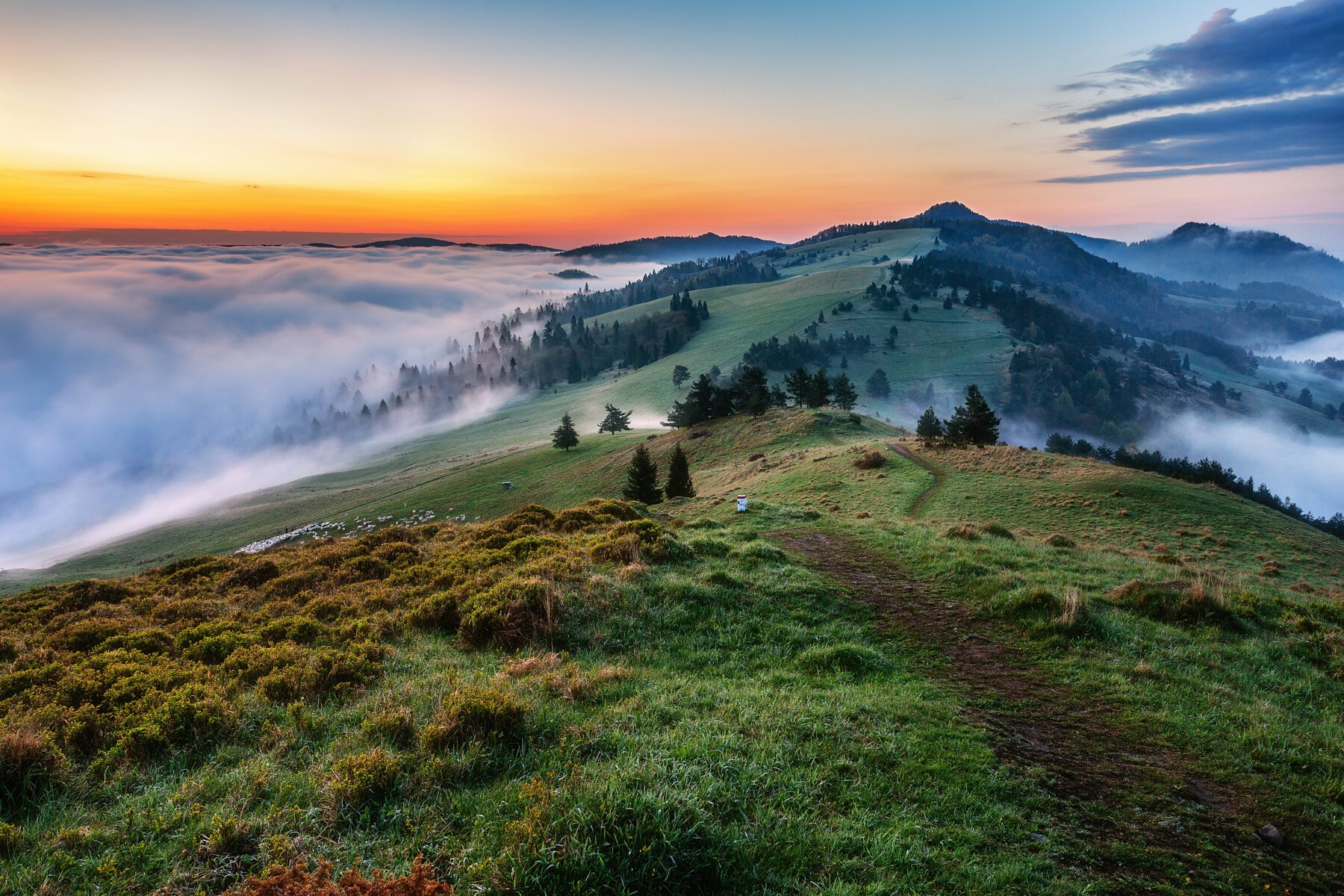 Uitzicht vanaf Wysokie Wierch in Pieniny in de richting van Wysoka Krystian Kiwacz