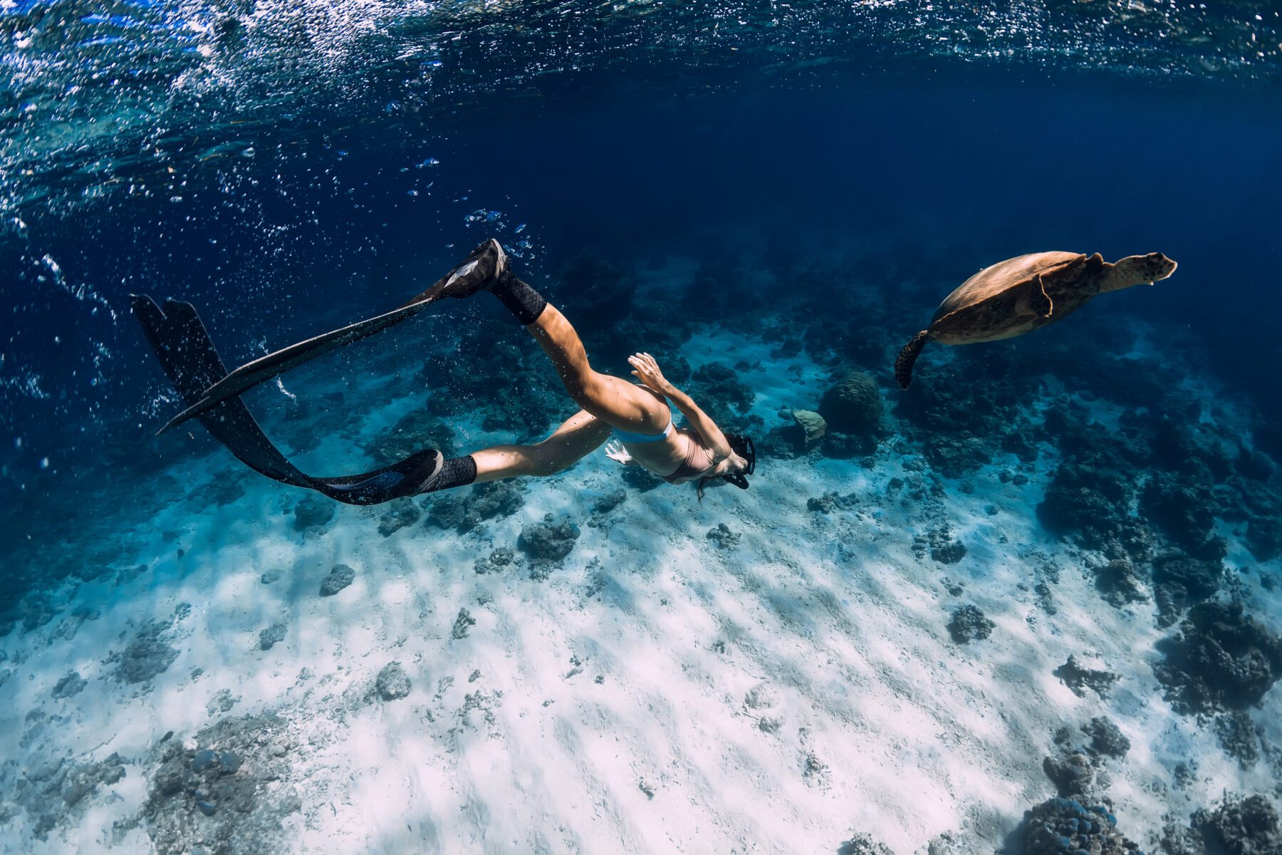 snorkelen met een goede snorkelset