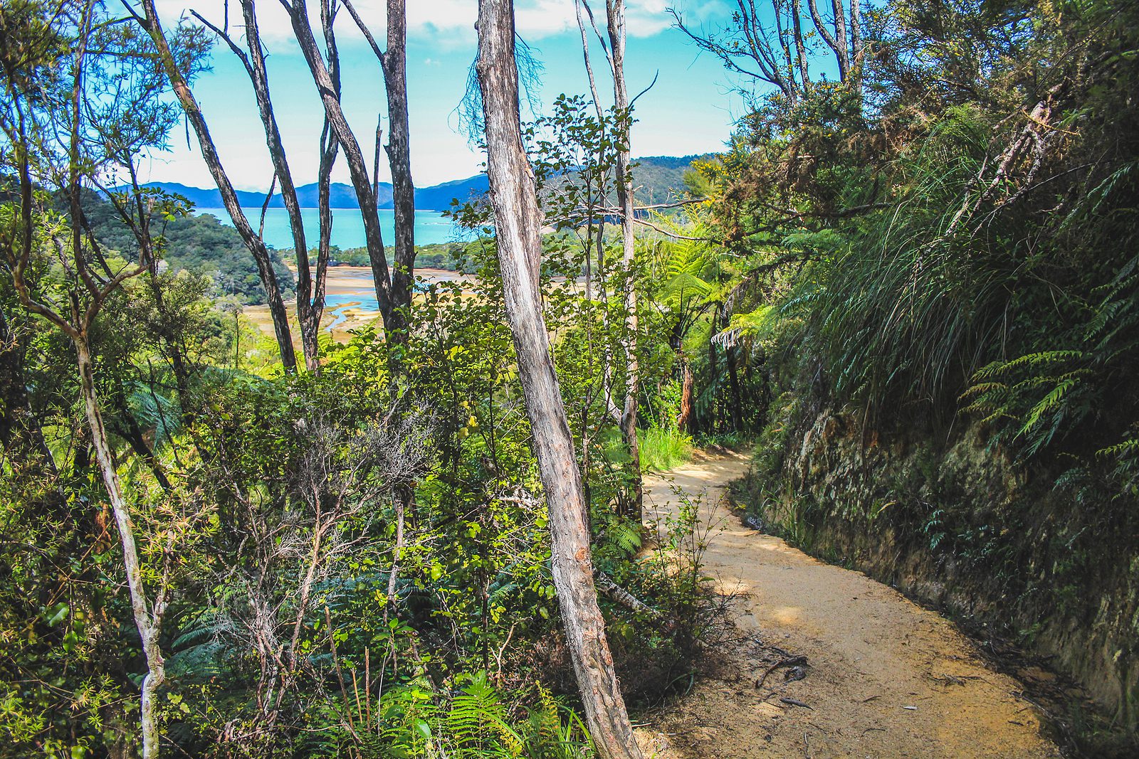 Anapai Beach on the South Island of New Zealand