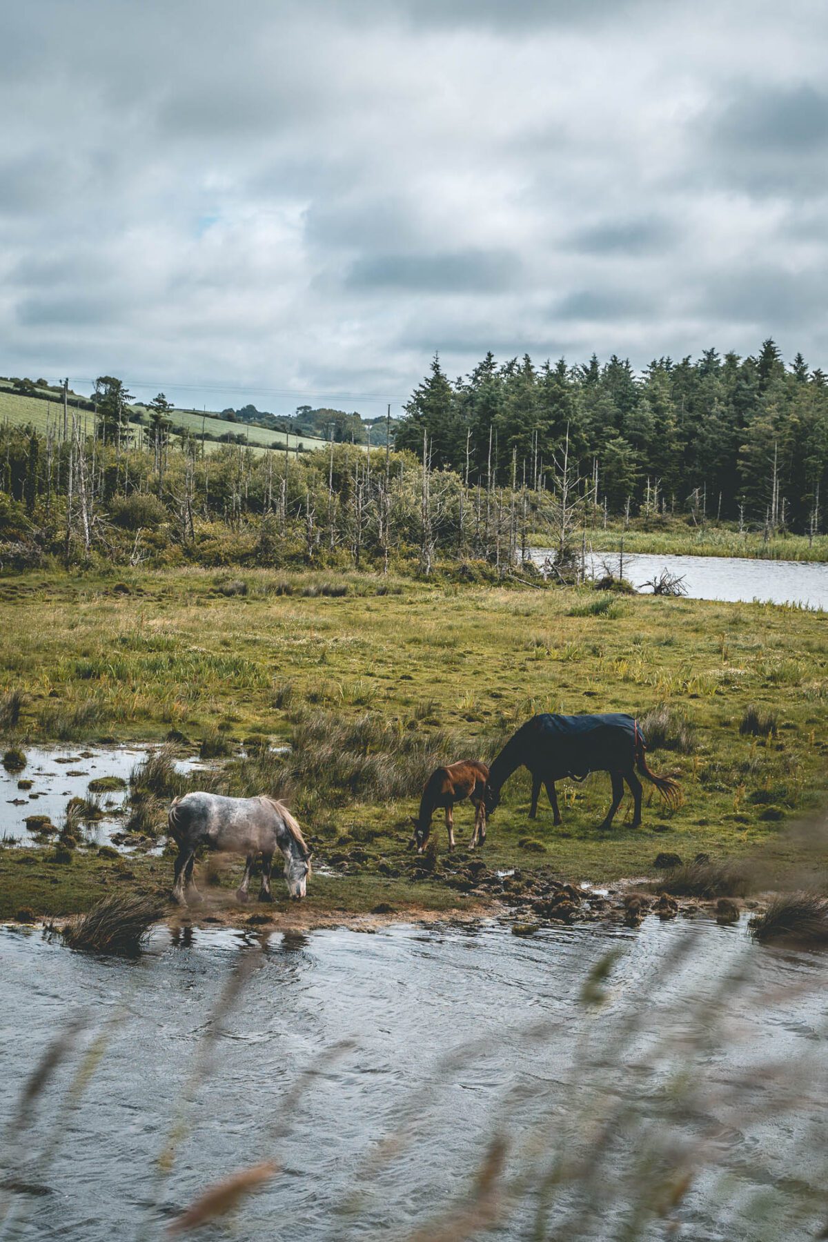 Cork Ierland