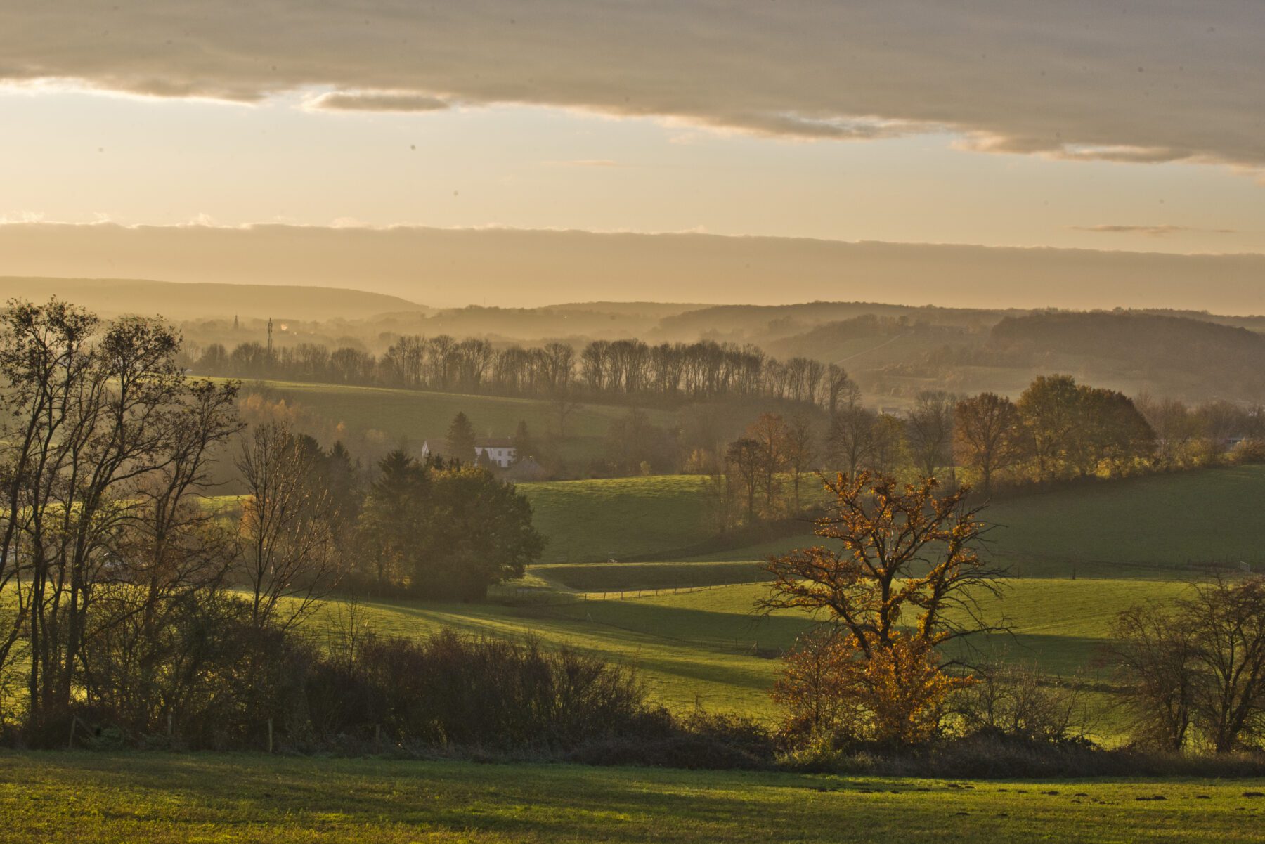 Limburg