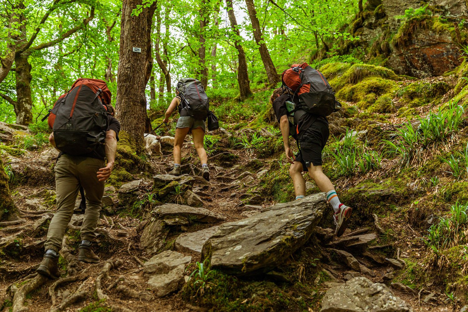 The Packraft Trail Ardennen