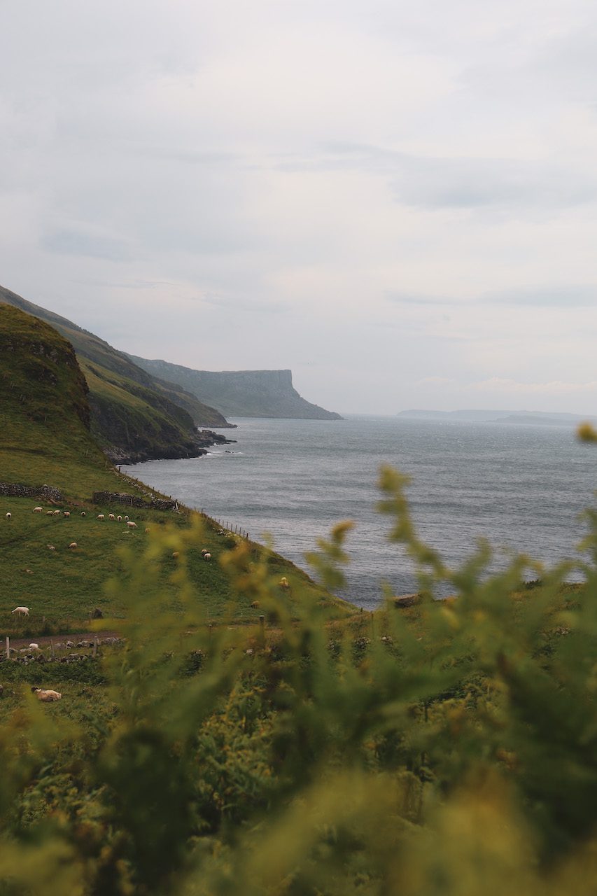 Torr Head