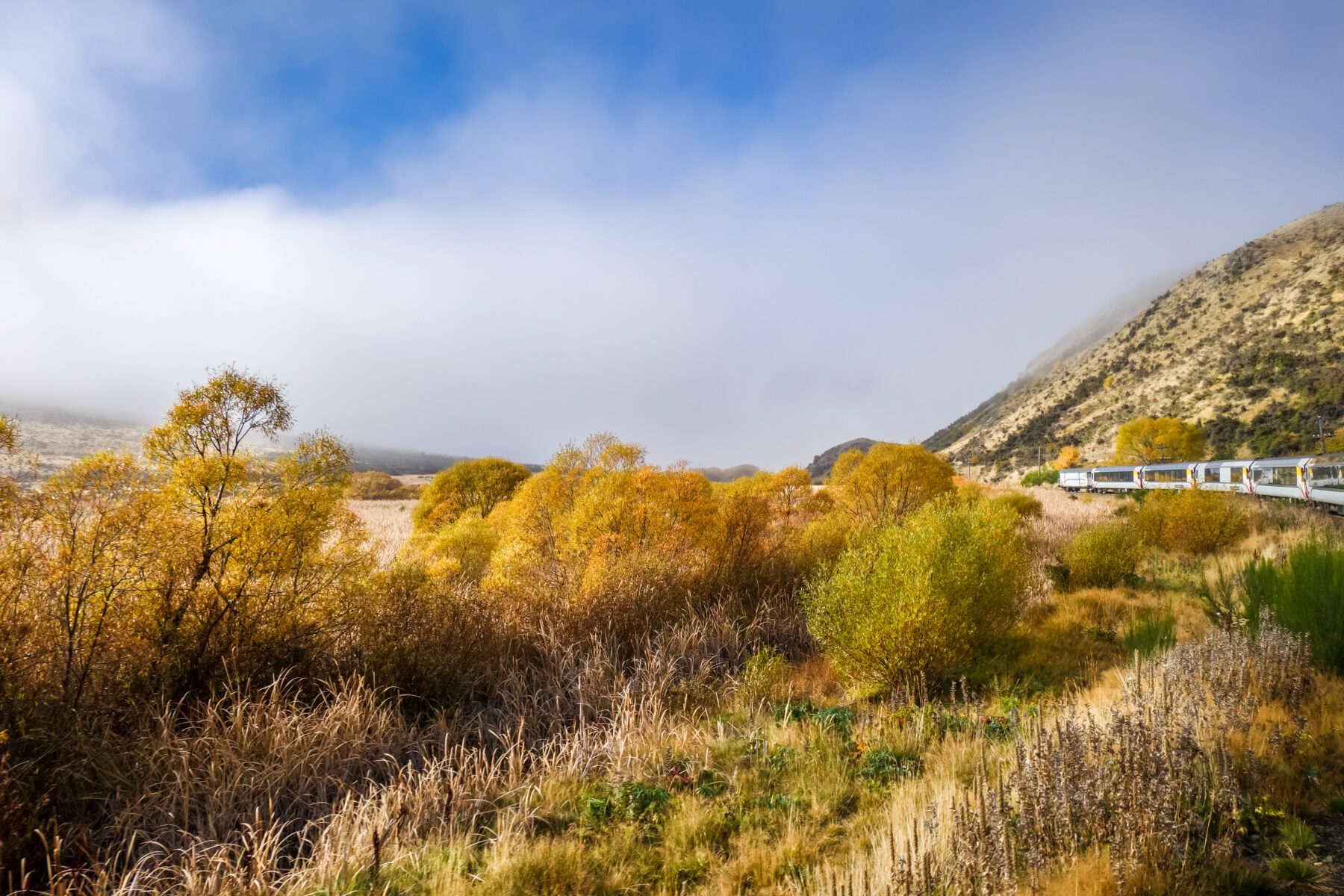 TranzAlpine mooiste treinreizen ter wereld