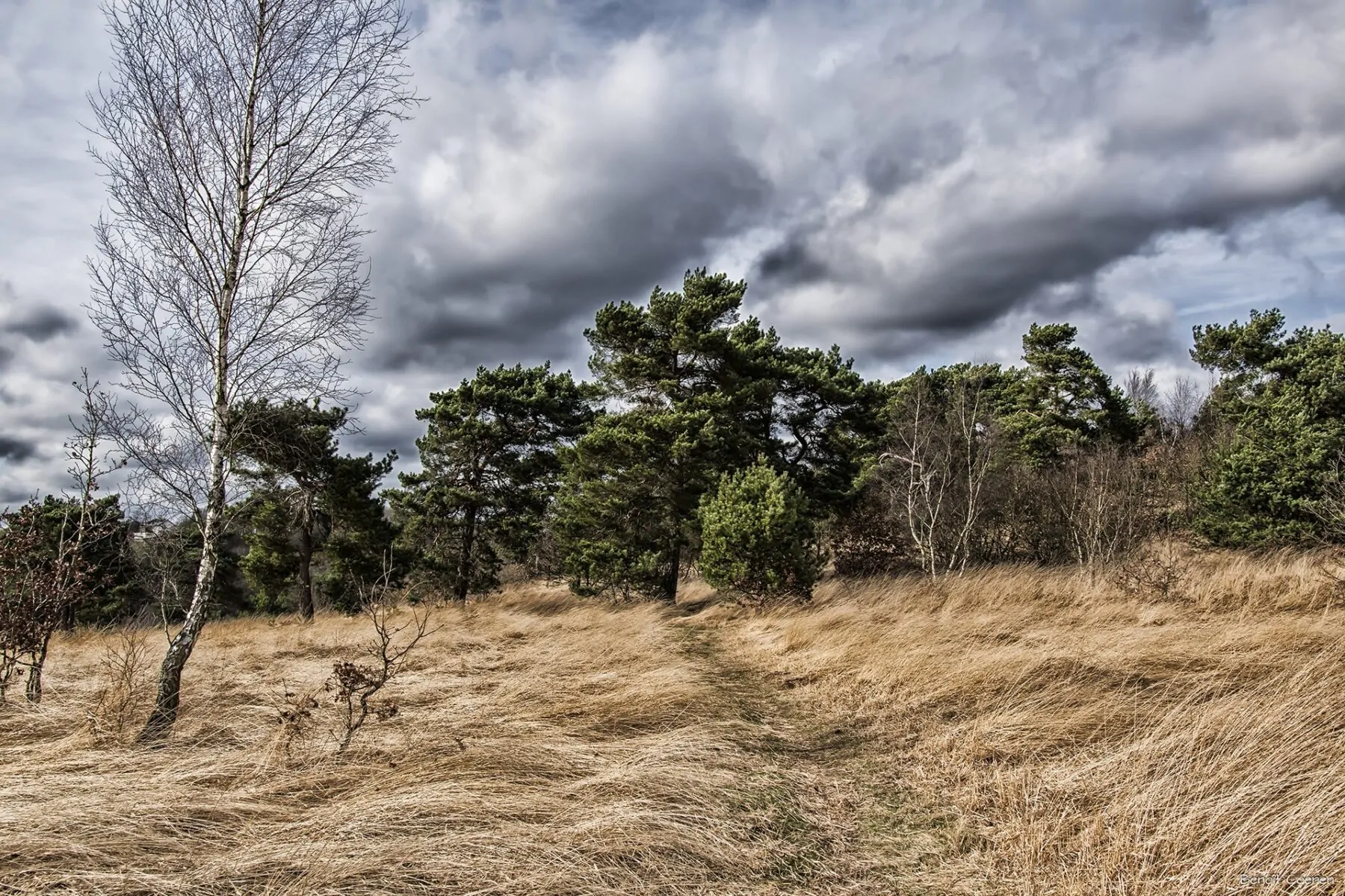 Wandelen in de Ardennen bij Bois les Dames