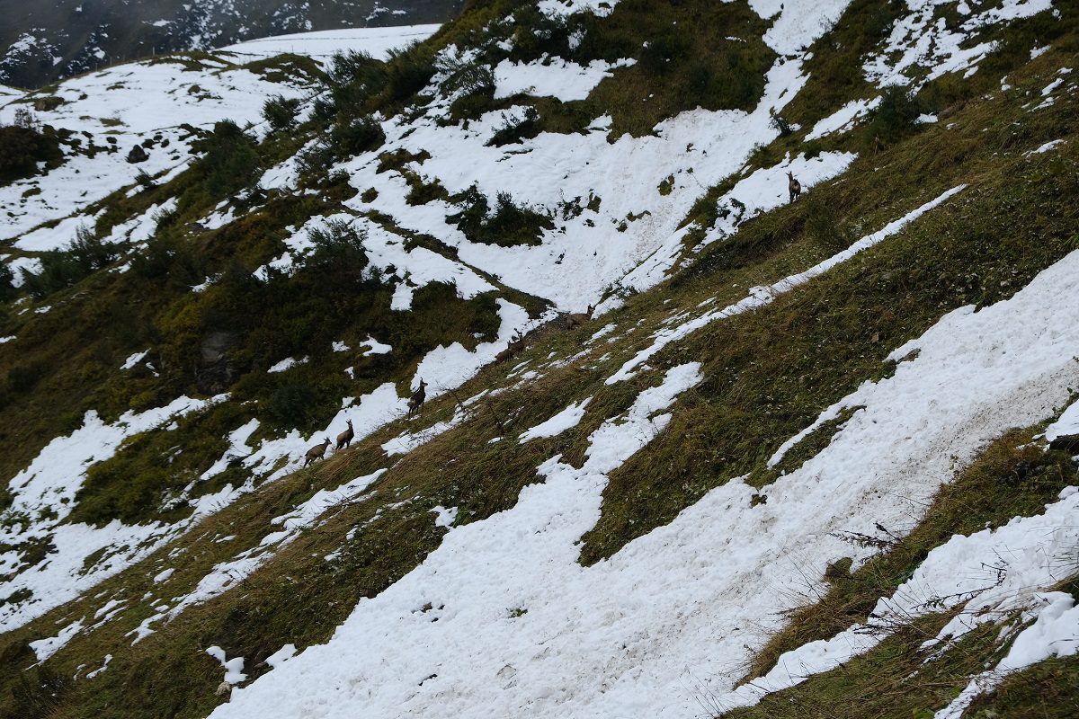 Wandelen Kleinwalsertal