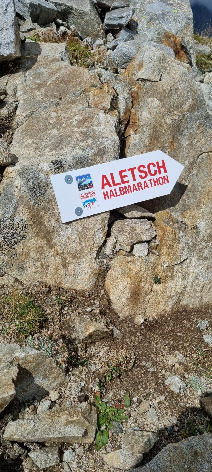Aletsch Halbmarathon