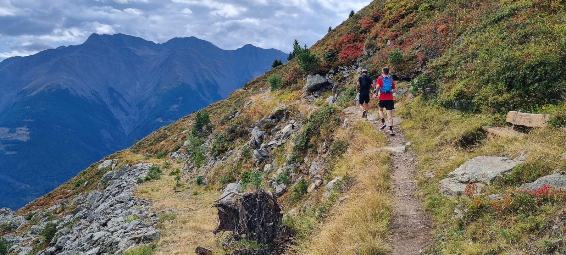 Aletsch Halbmarathon