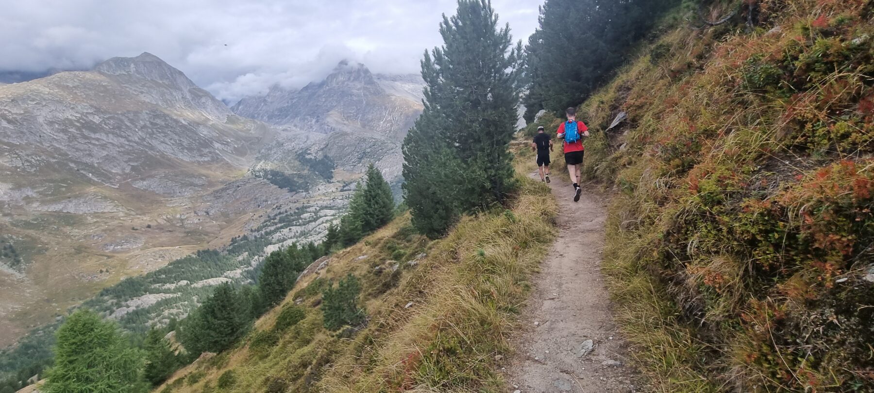 Aletsch Halbmarathon