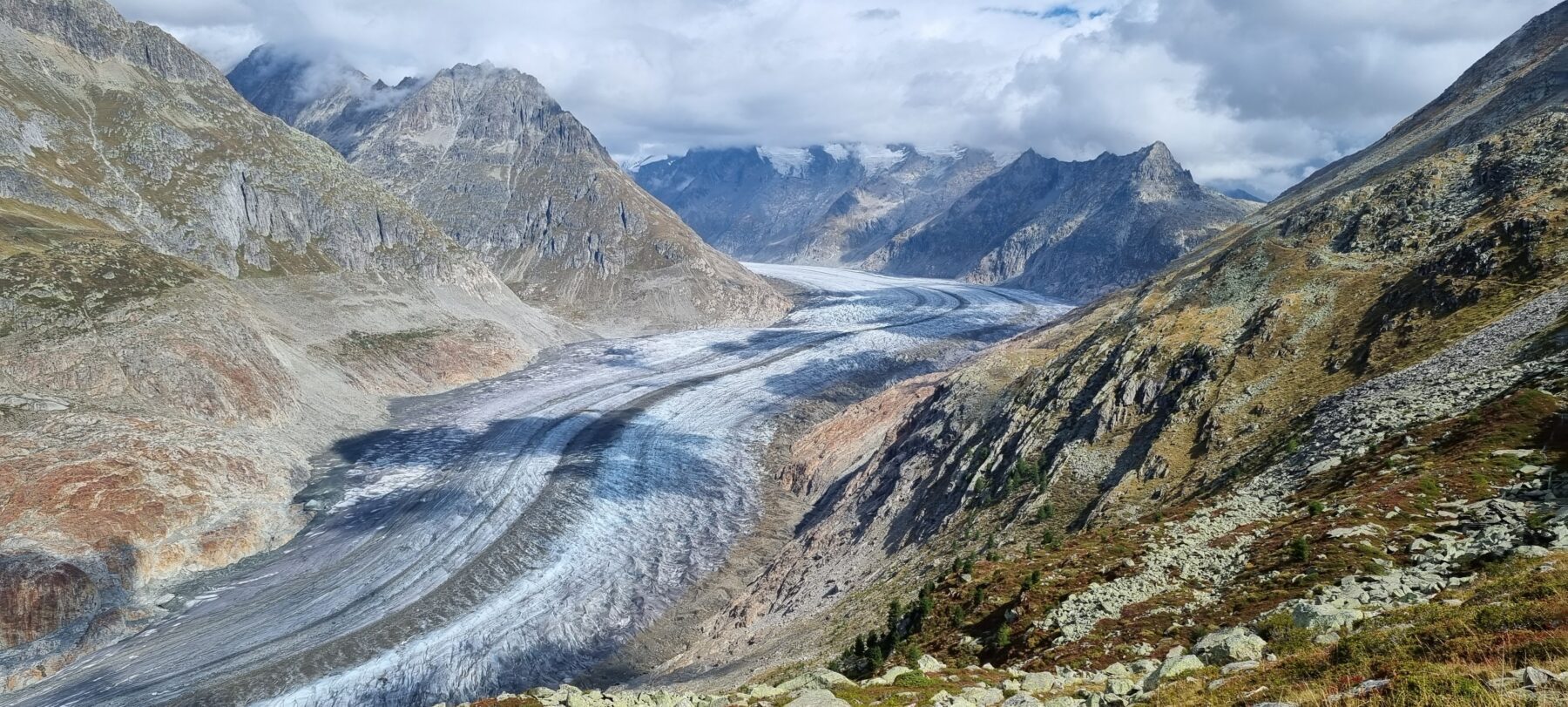 Aletsch gletsjer