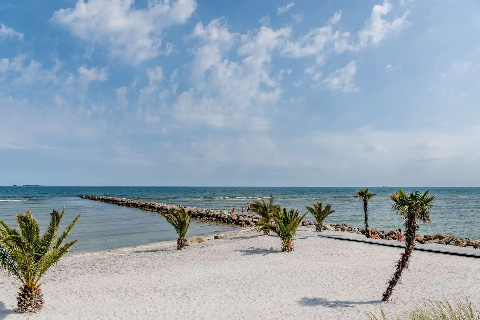 Noord-Jutland Denemarken Palmbomen