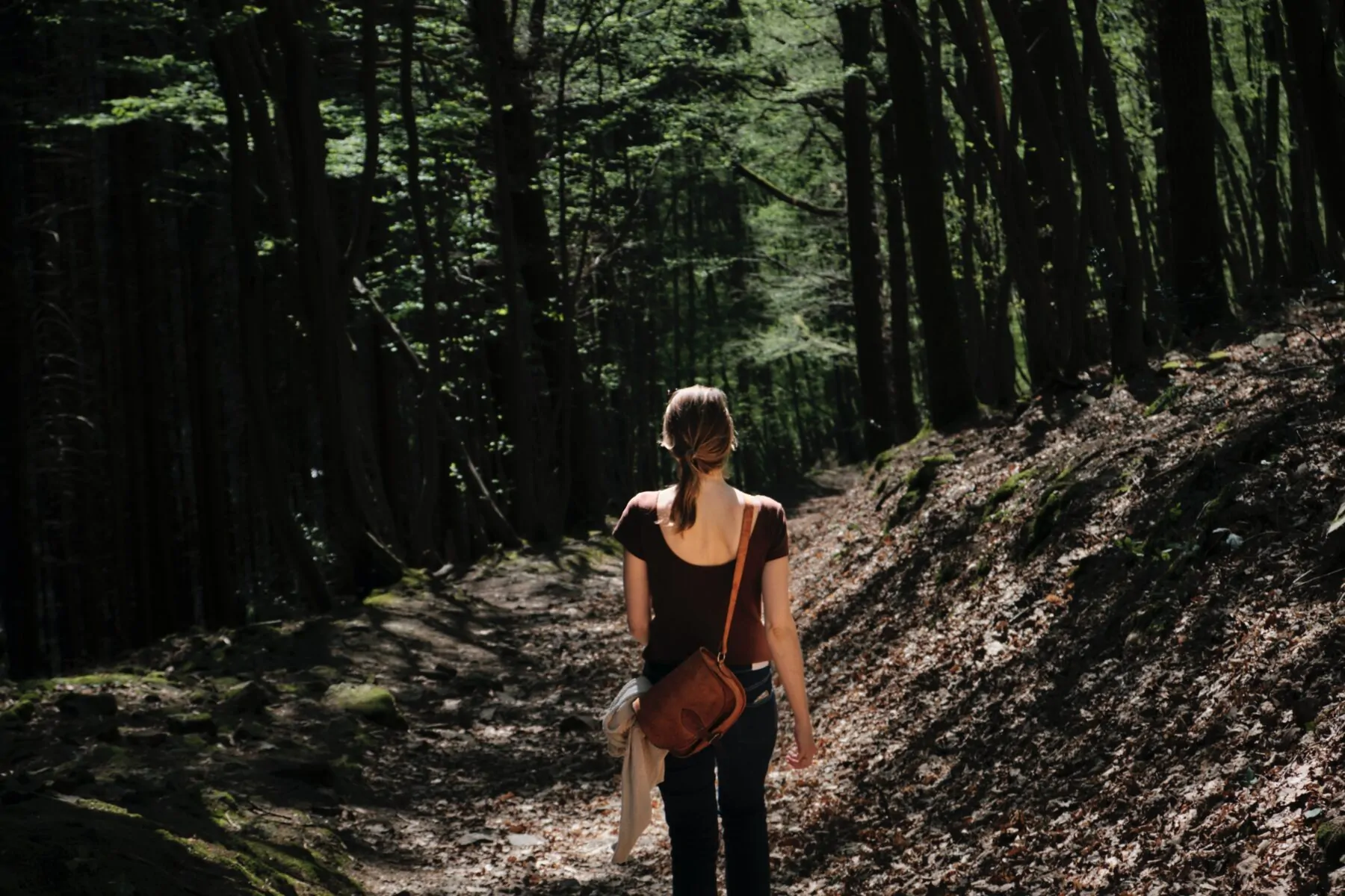 Wandelen in de Ardennen Ninglinspo