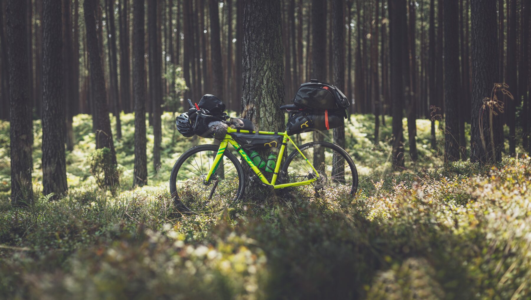 the bikepack trail